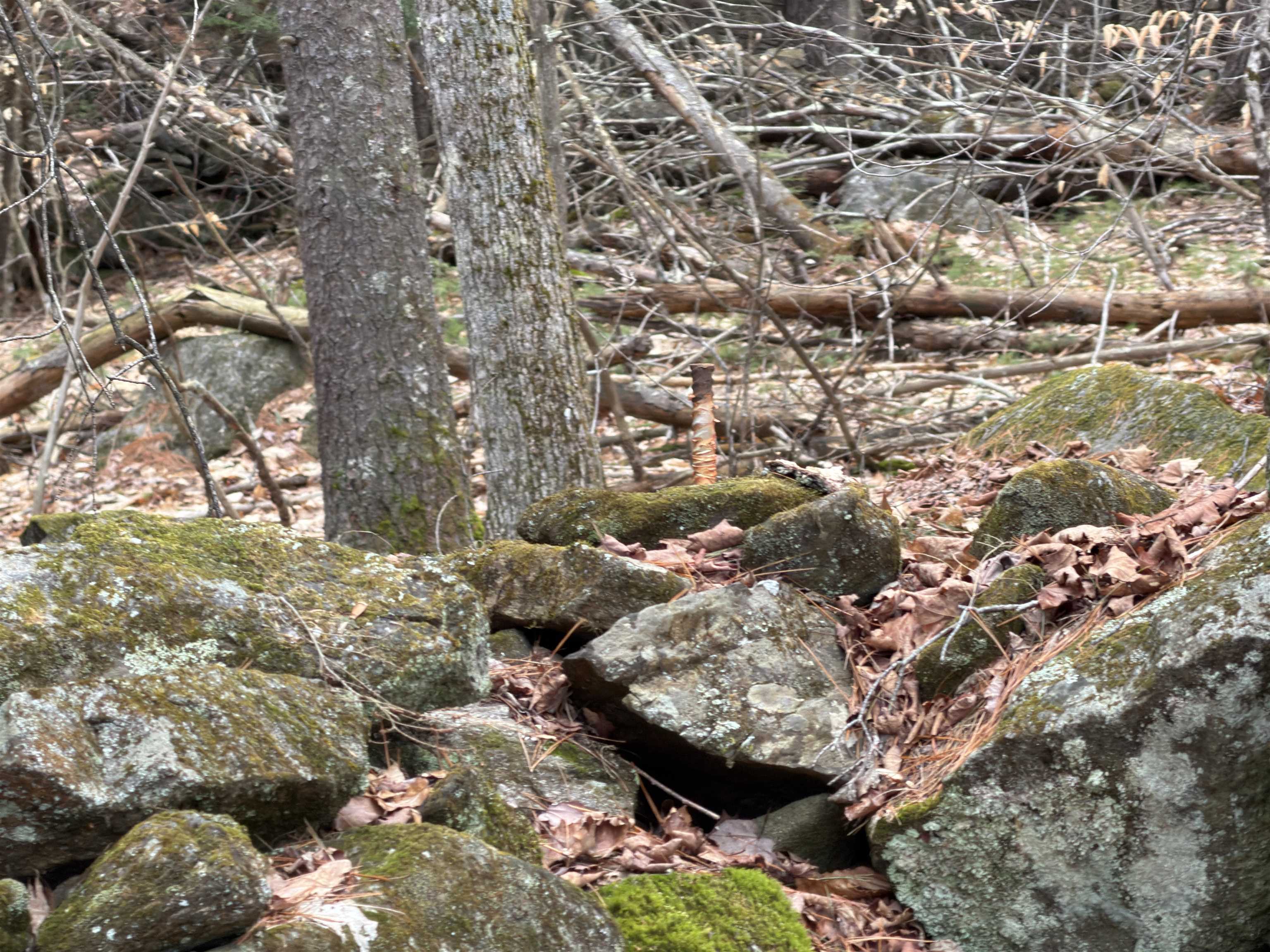 702 Province Rd, Belmont, NH 03220