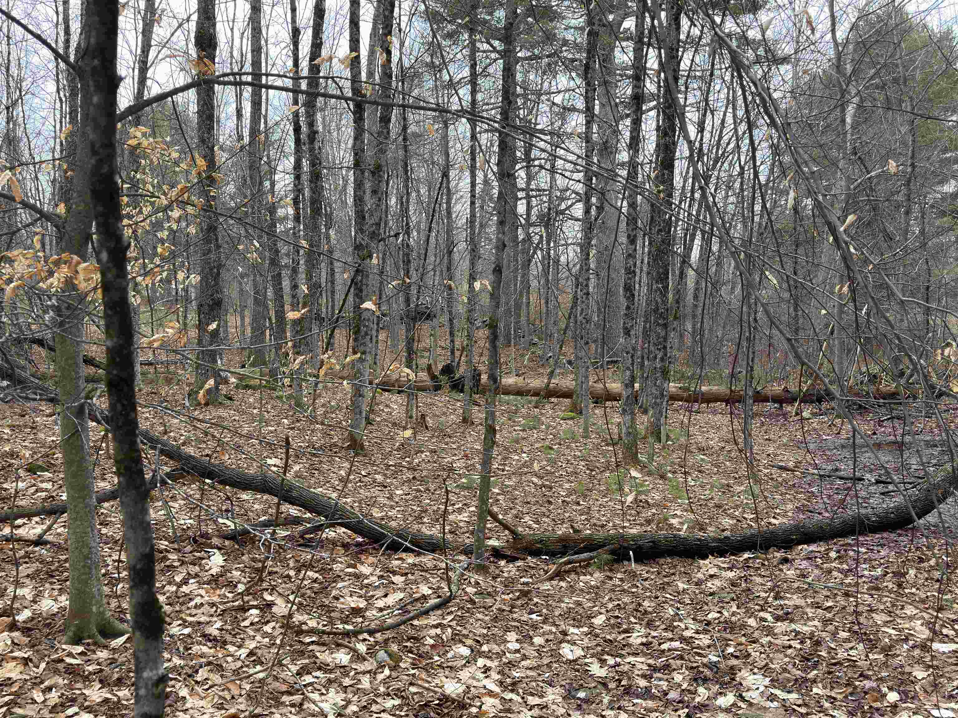 702 Province Rd, Belmont, NH 03220