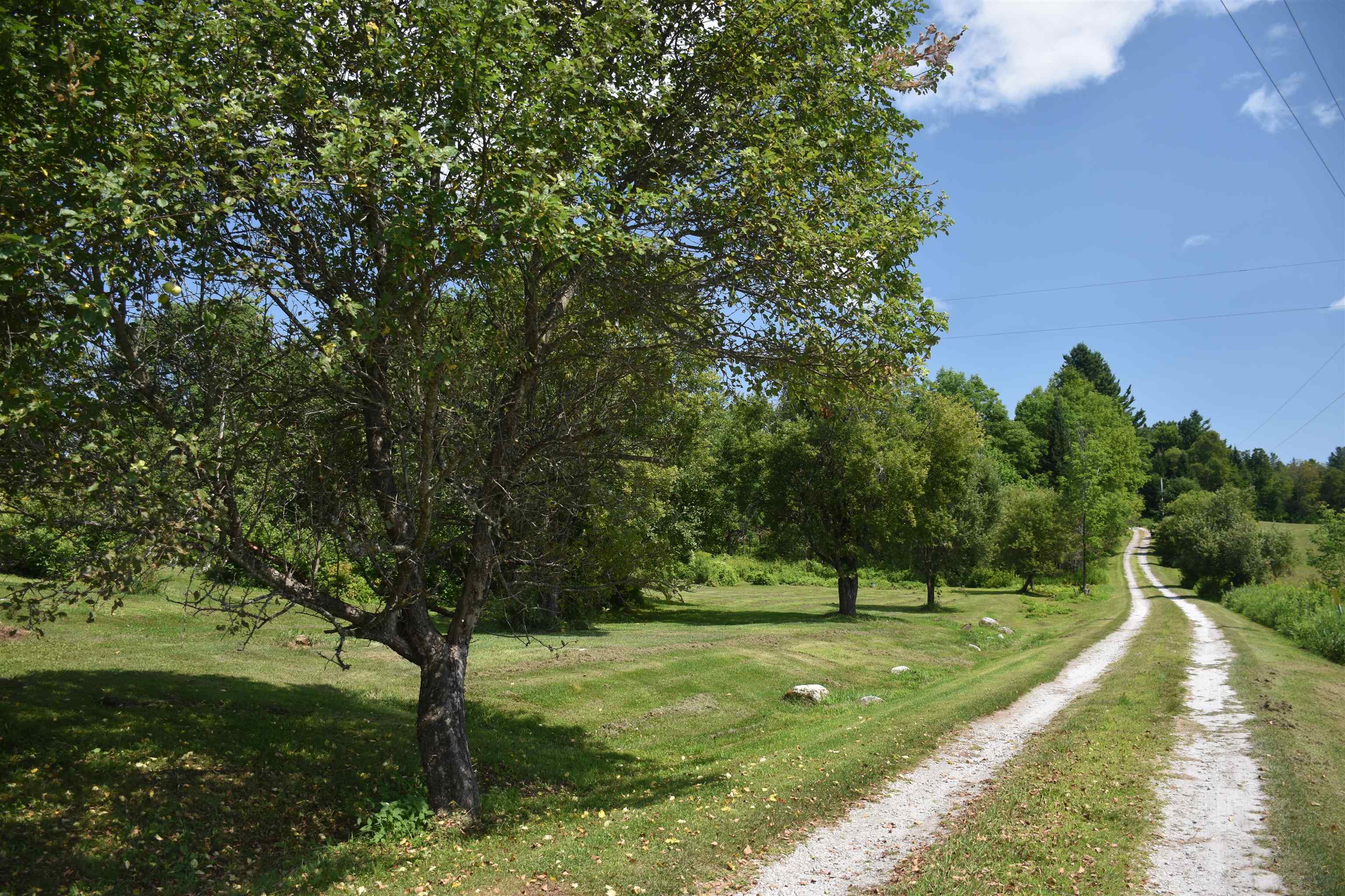 Privately sited up long driveway!