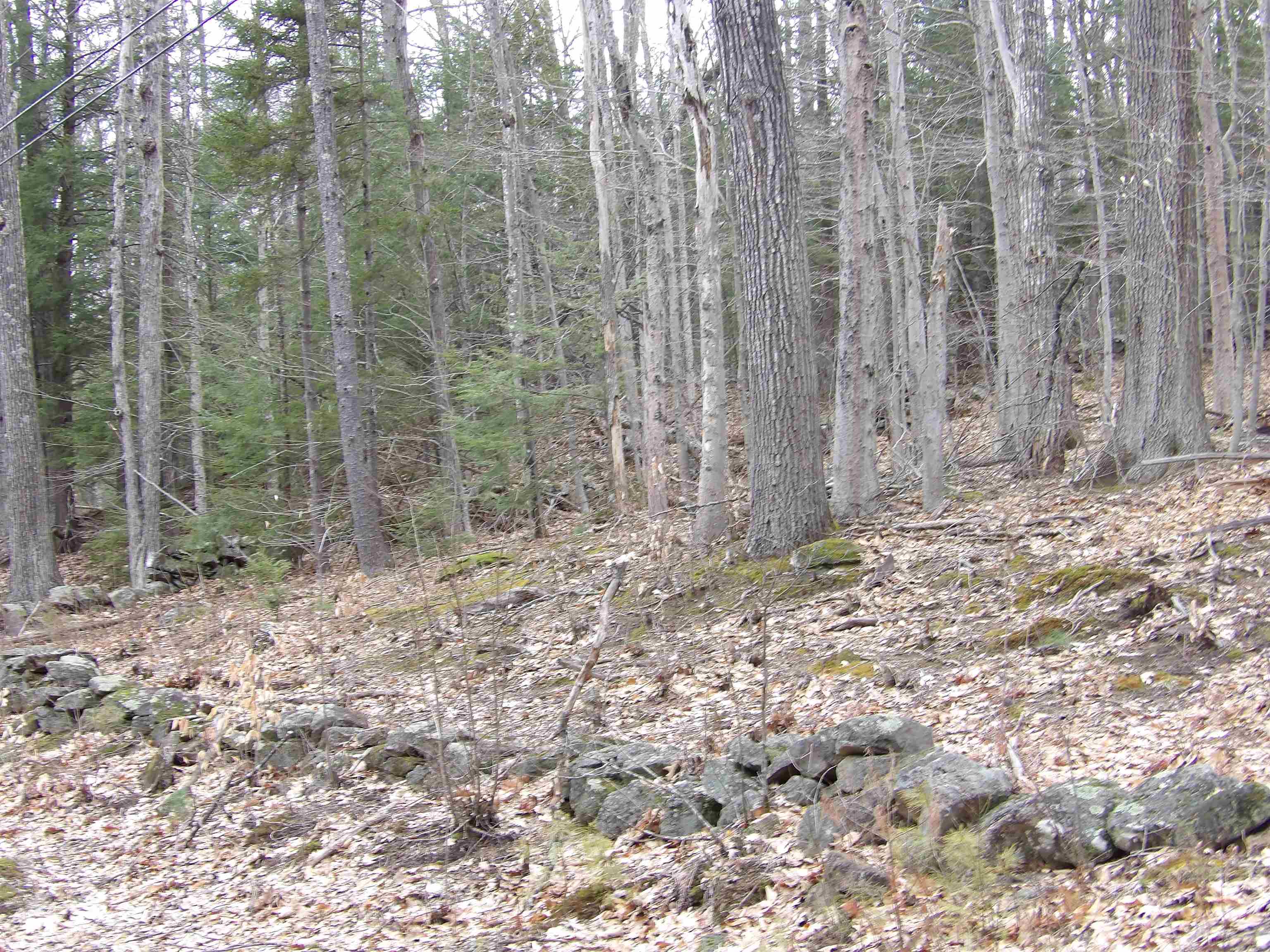 Lot 9 Roxbury Rd, Sanbornton, NH 03269