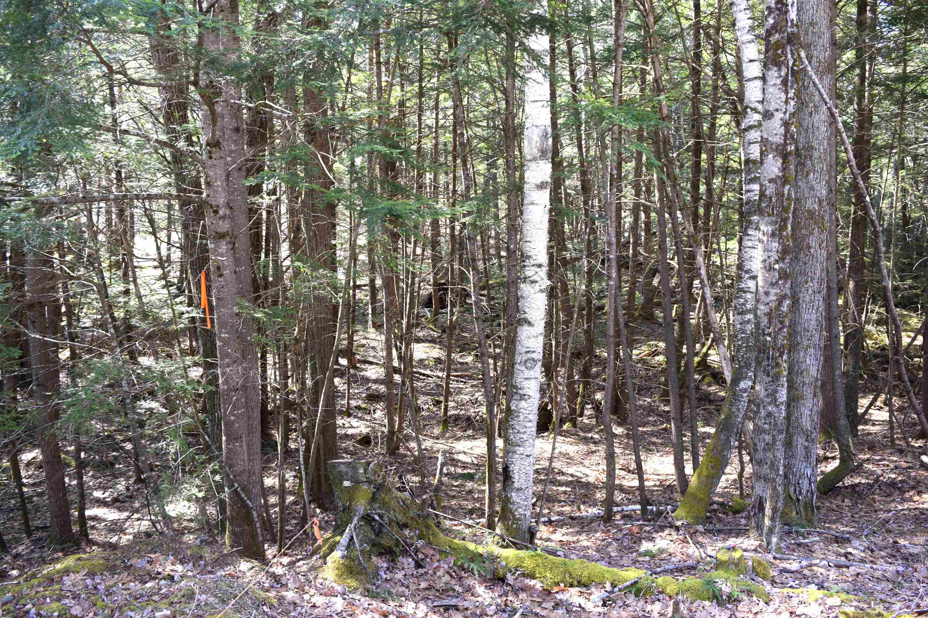 Lot 185 Hanover Dr, Haverhill, NH 03765