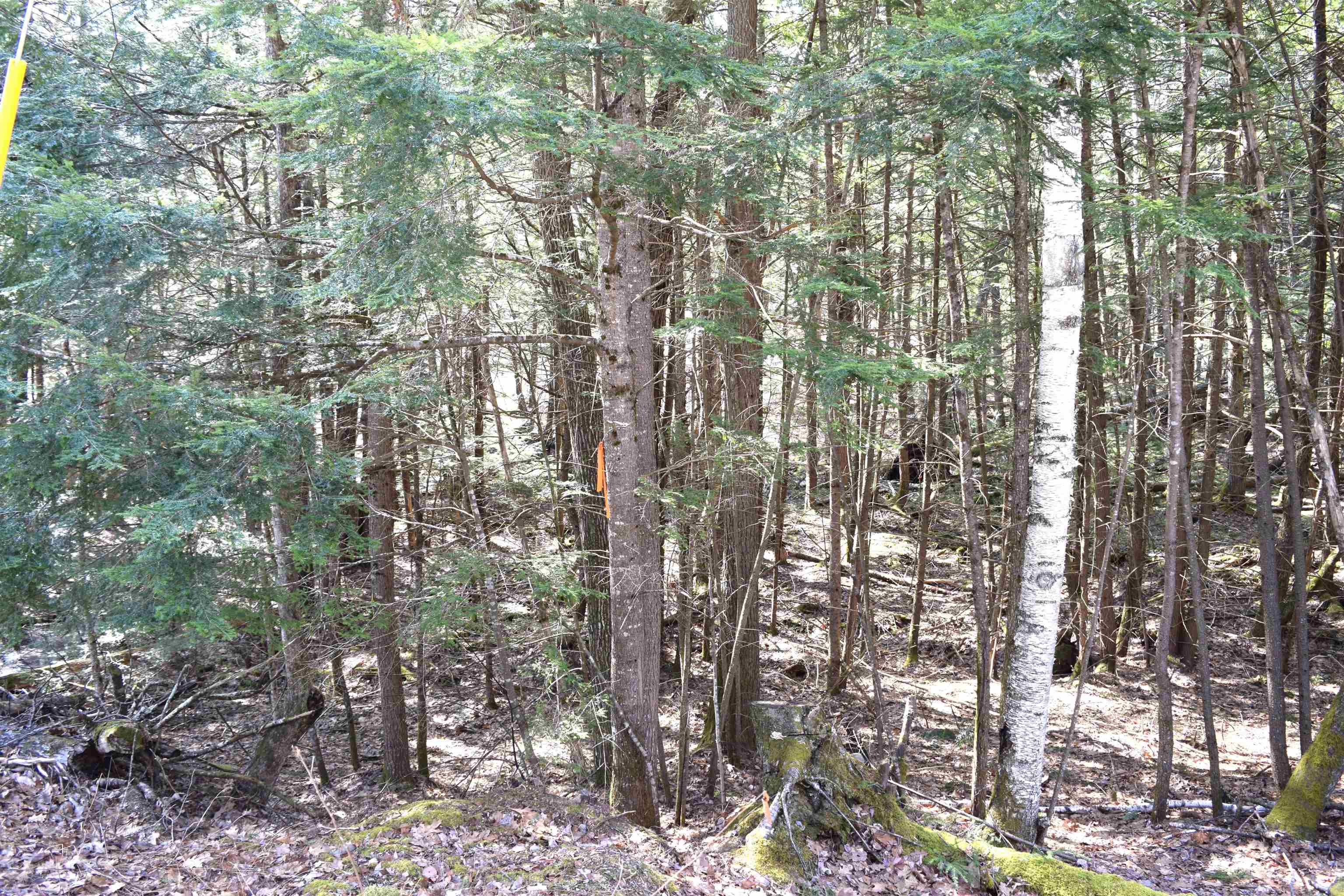 Lot 185 Hanover Dr, Haverhill, NH 03765