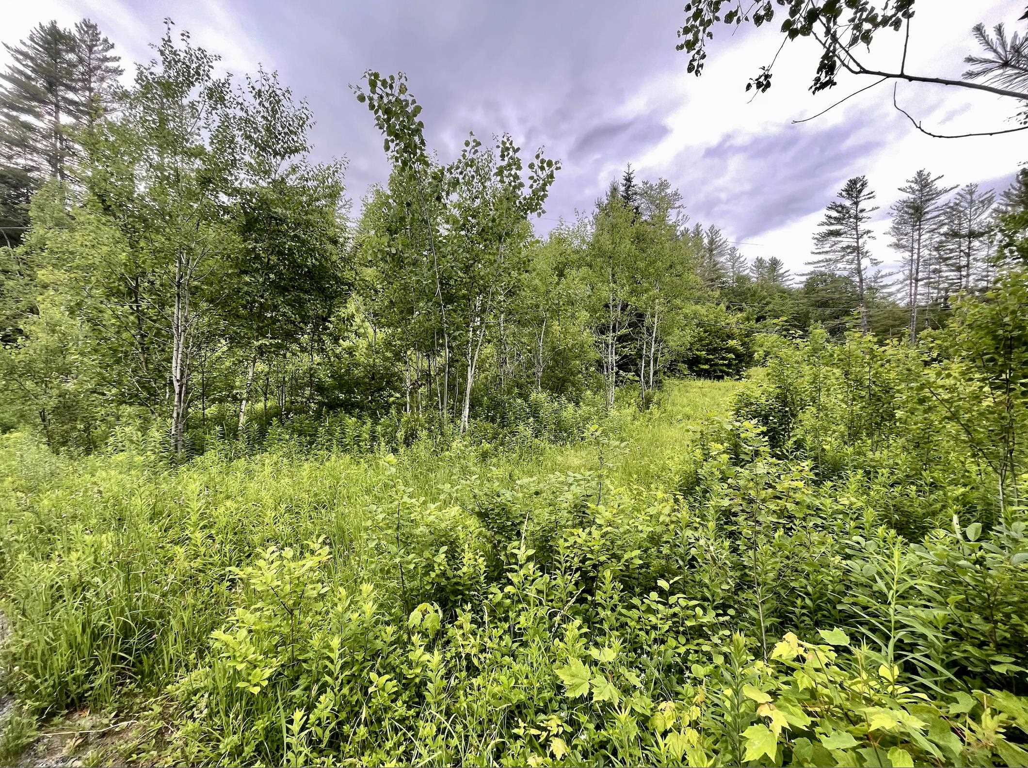 4769 Pikes Falls Rd, Jamaica, VT 05143