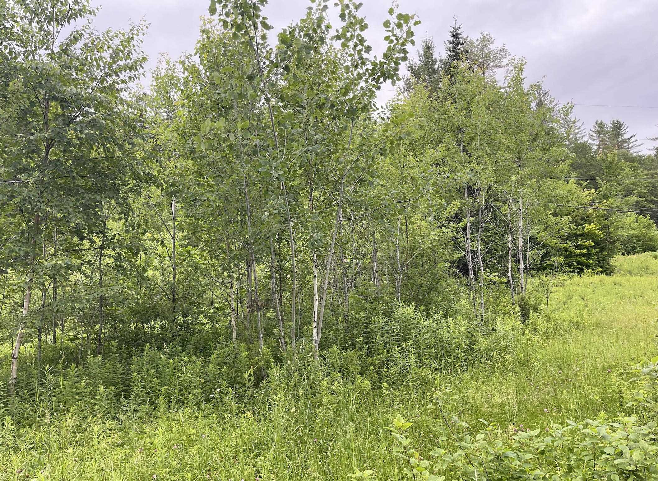 4769 Pikes Falls Rd, Jamaica, VT 05143