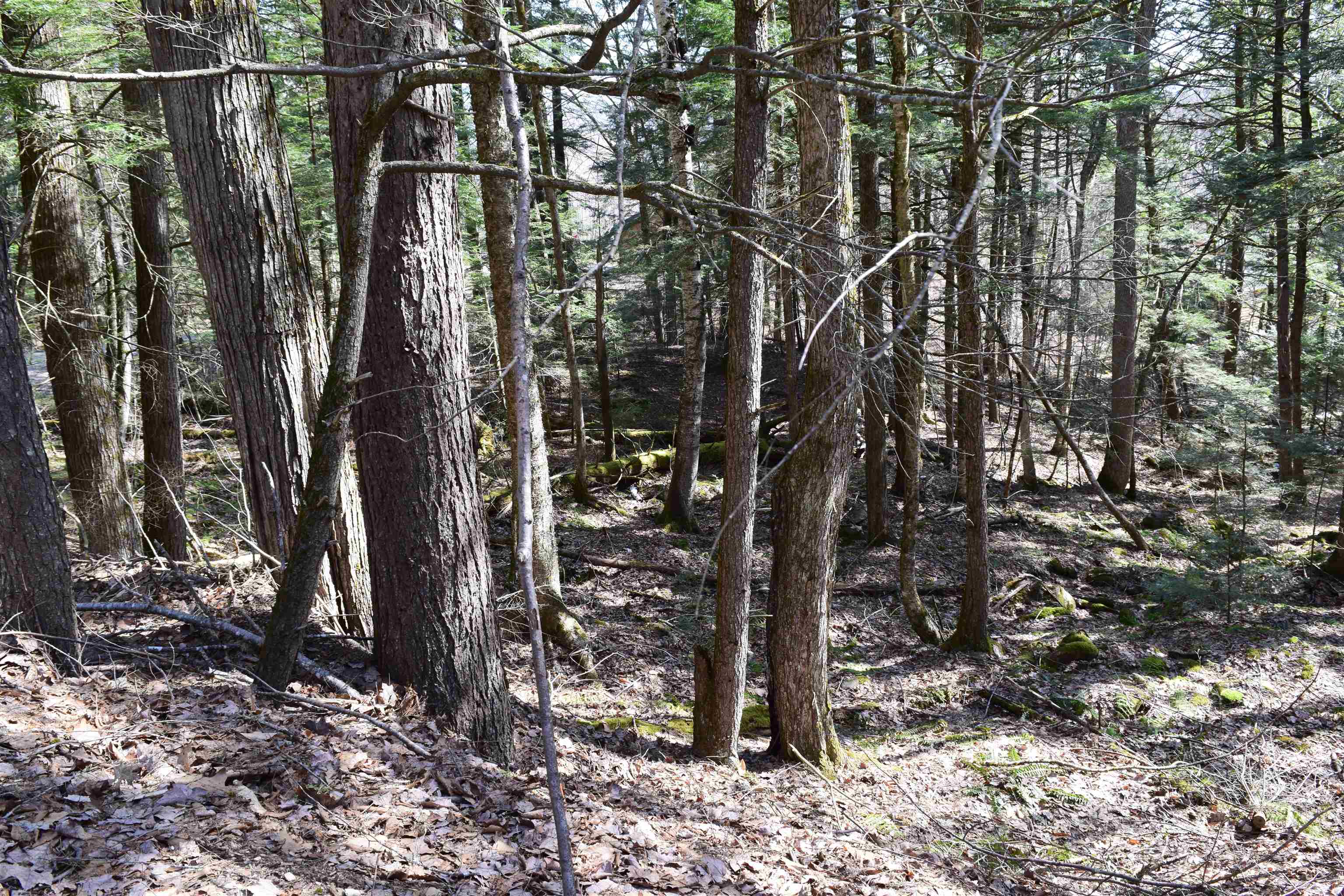 Lot 14 Hanover Dr, Haverhill, NH 03765