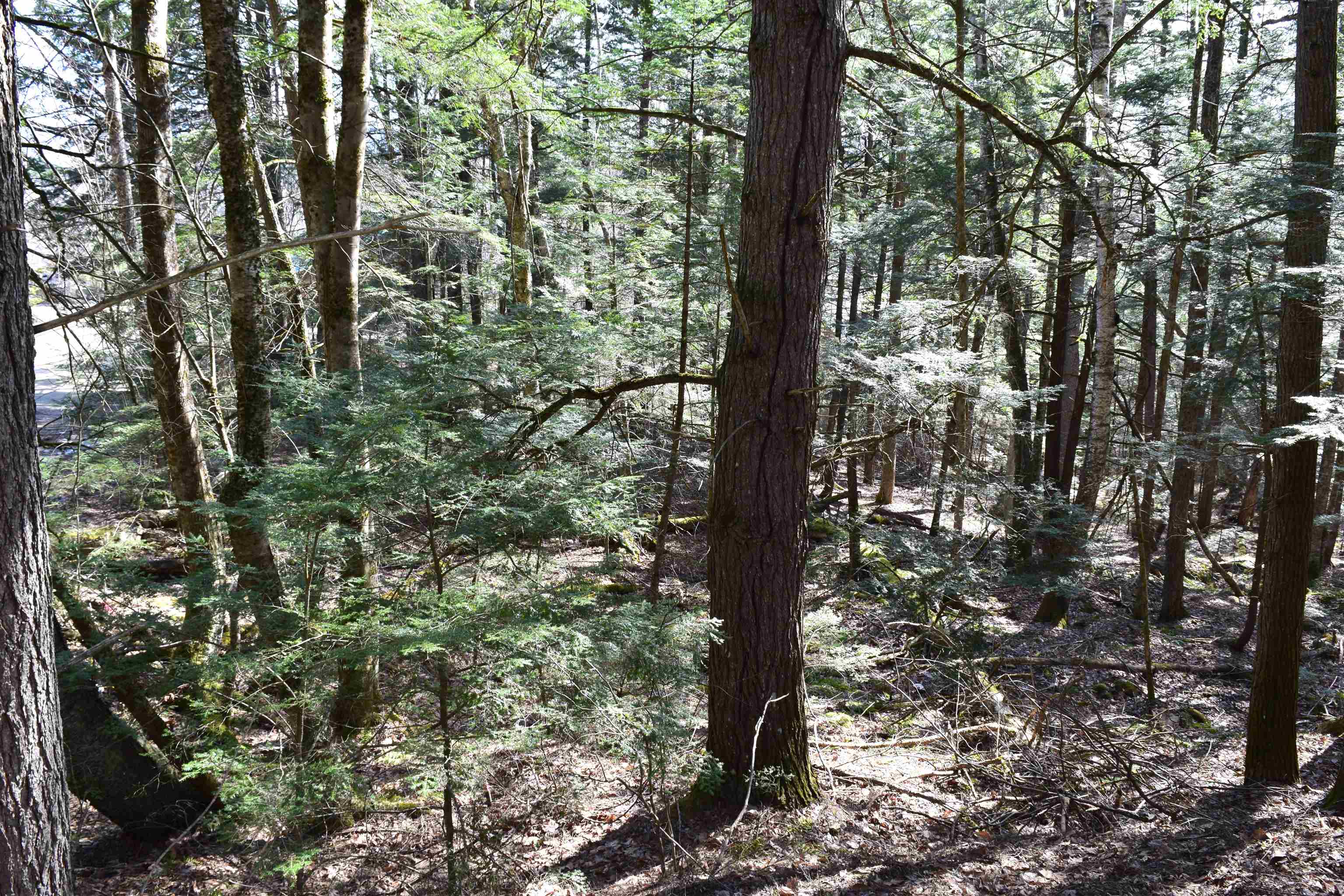 Lot 14 Hanover Dr, Haverhill, NH 03765