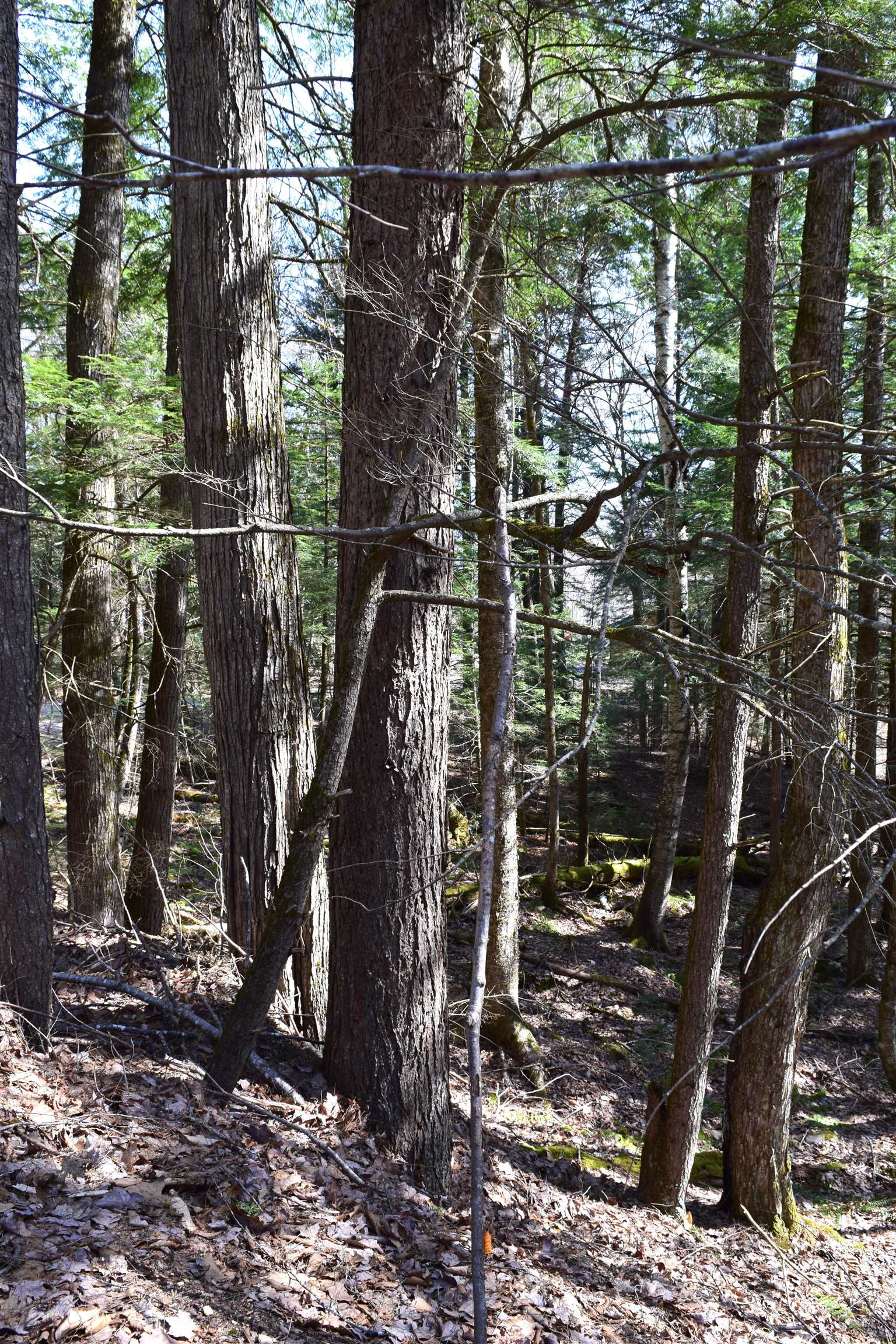 Lot 14 Hanover Dr, Haverhill, NH 03765