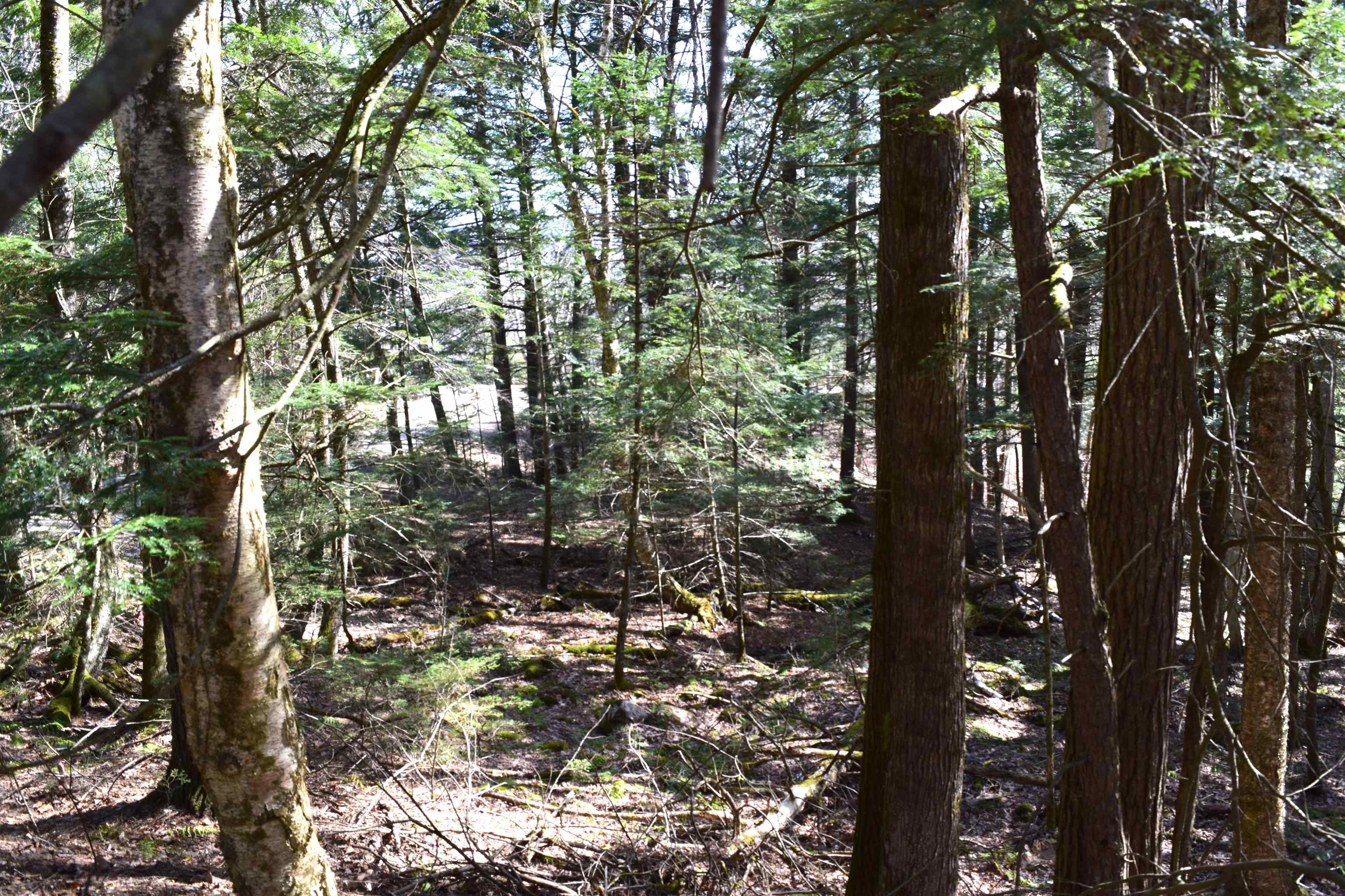 Lot 14 Hanover Dr, Haverhill, NH 03765