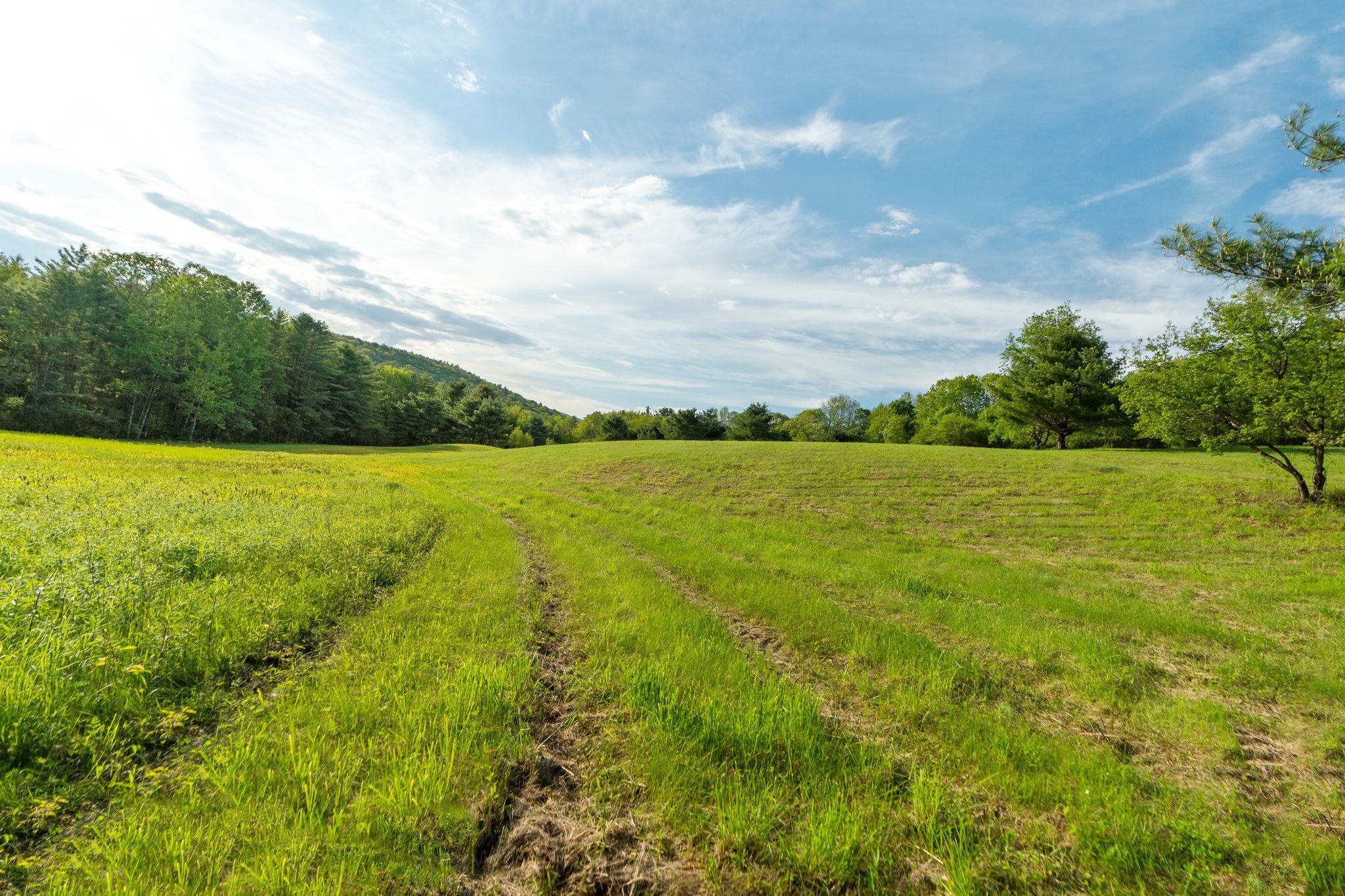 Tractor tracks towards Norwich town line