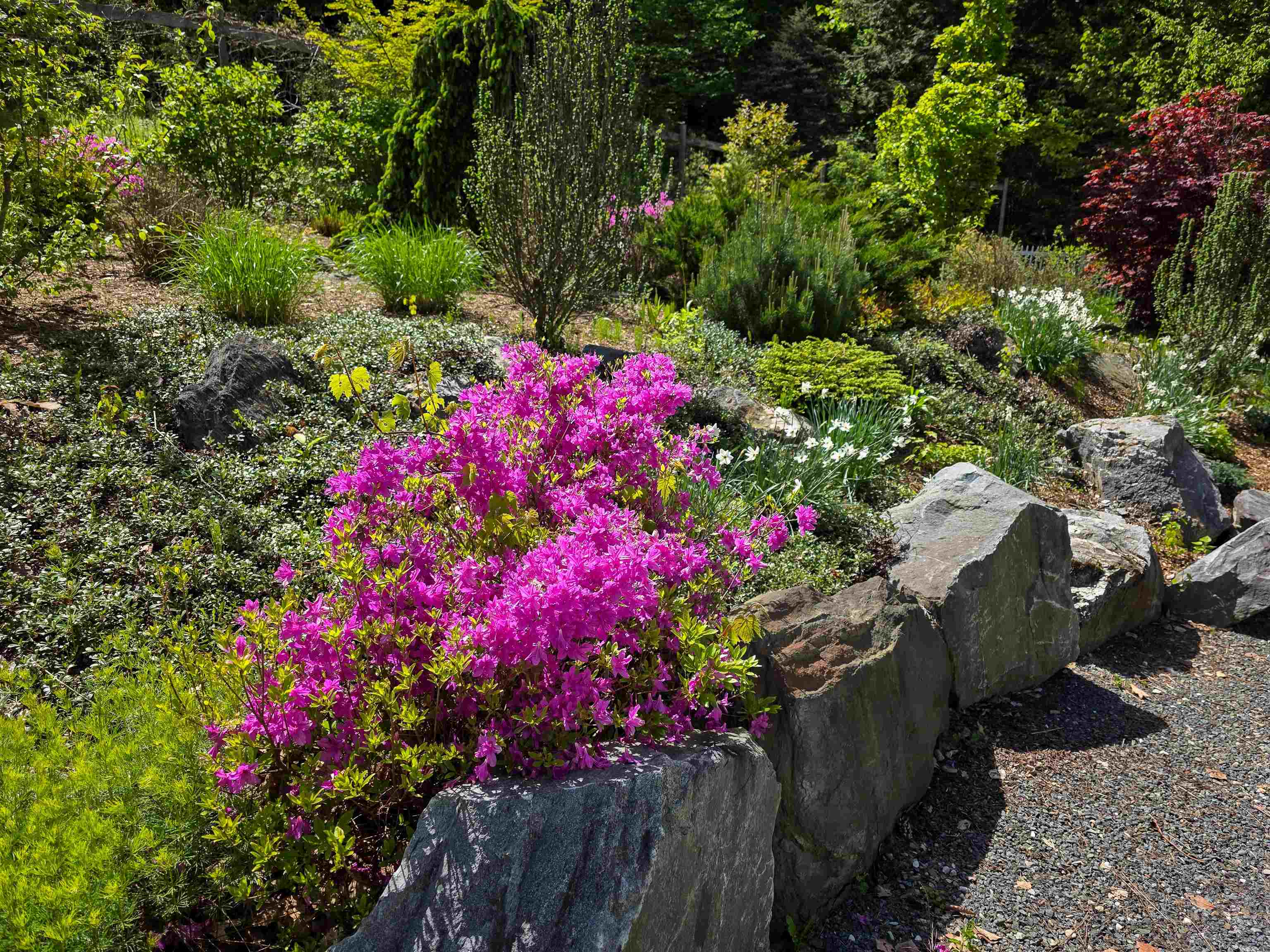 14 Macdonald Dr, Hanover, NH 03755