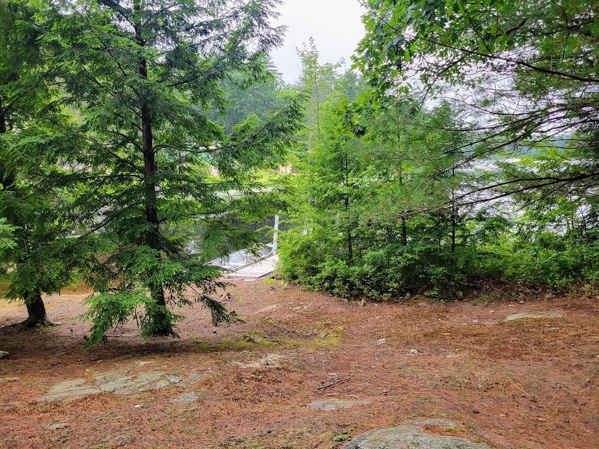 54 Canterbury Shore Dr, Canterbury, NH 03224