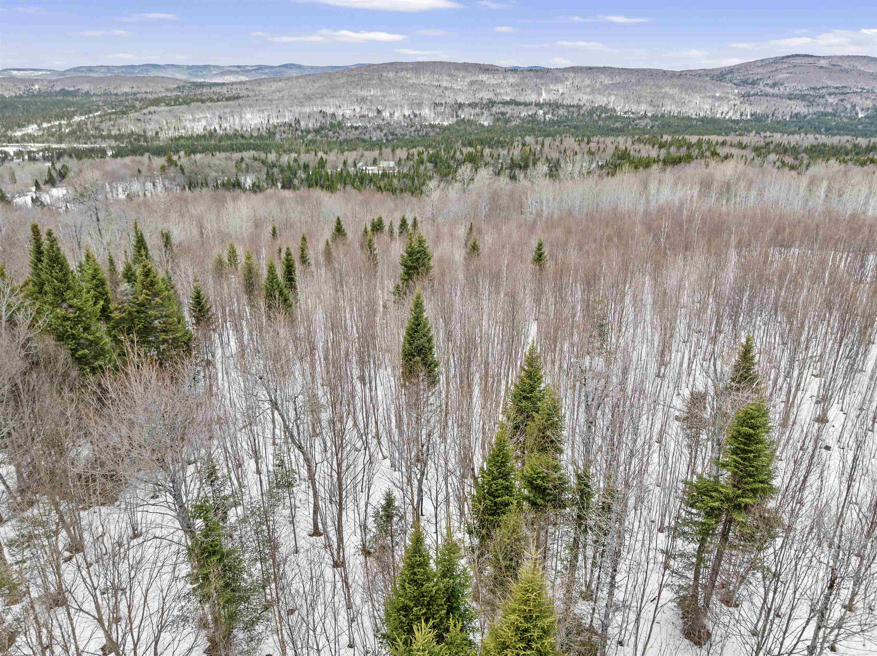 Lot 5 Lonny Demmons Rd, Pittsburg, NH 03592