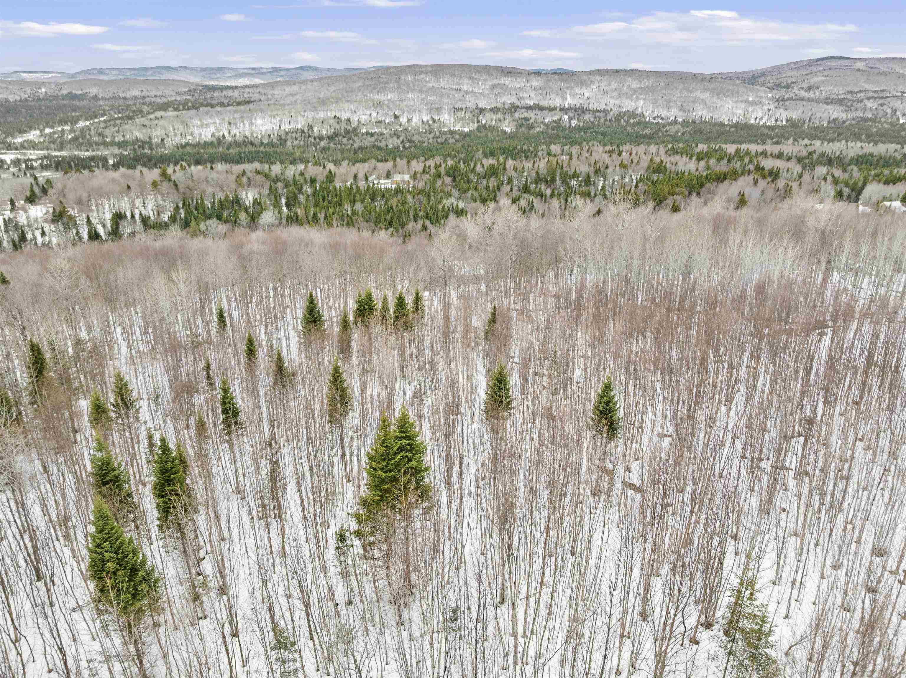 Lot 5 Lonny Demmons Rd, Pittsburg, NH 03592