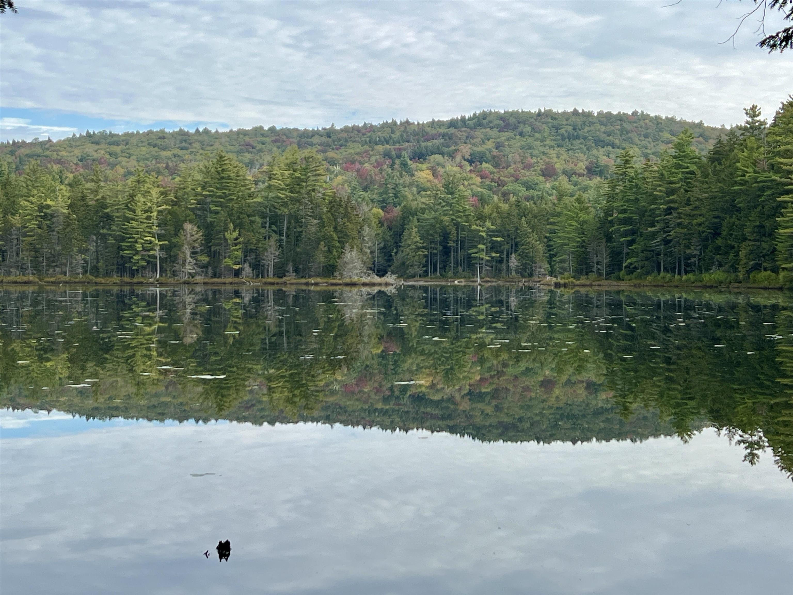 Photo 3 of Land for sale at Forrester Rd, Jamaica, VT 05343 | MLS# 5082418 | Listing updated on 2026-09-19