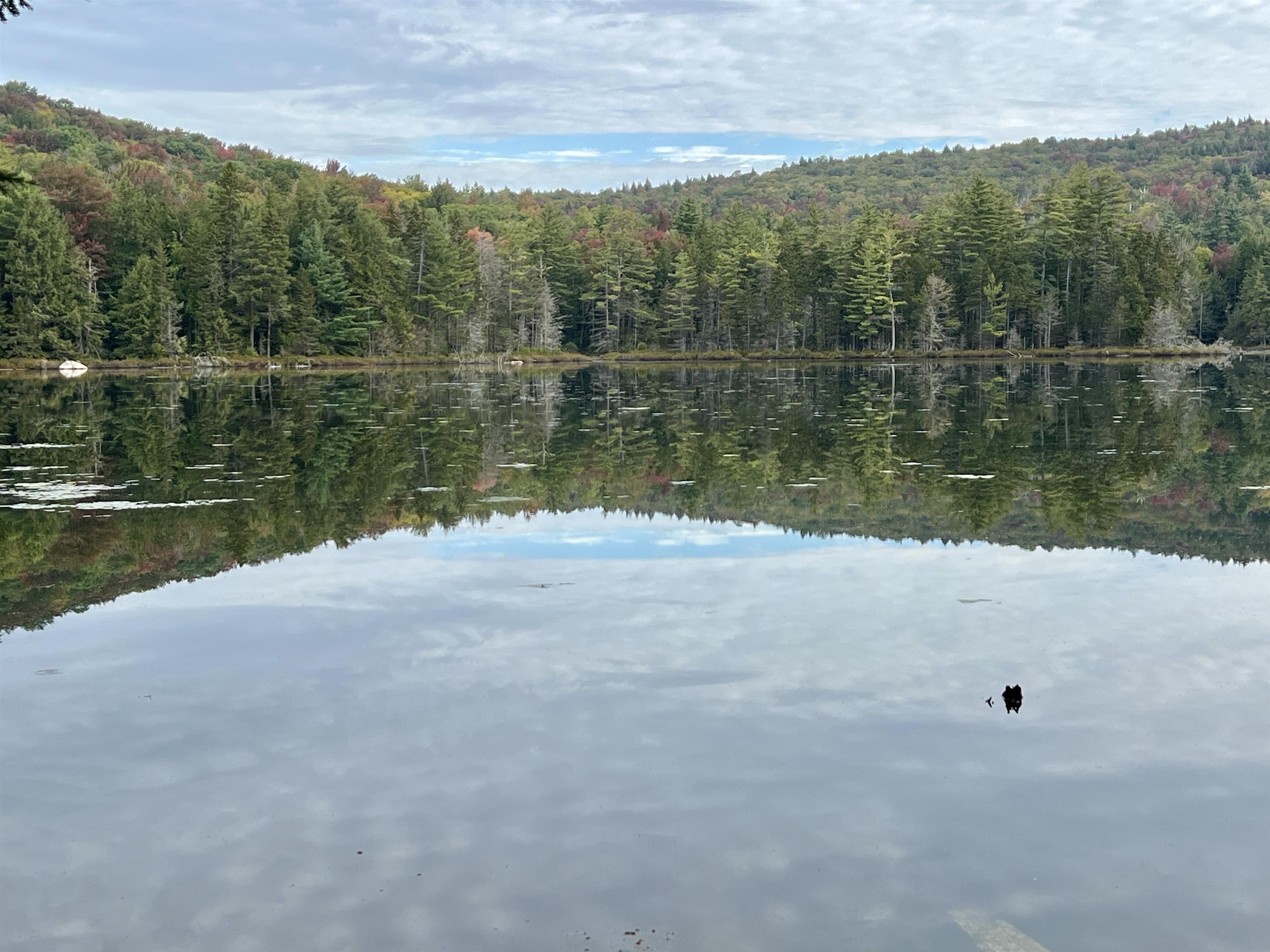 Photo 4 of Land for sale at Forrester Rd, Jamaica, VT 05343 | MLS# 5082418 | Listing updated on 2026-09-19