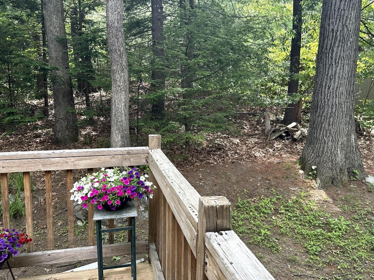 Photo 48 of 51