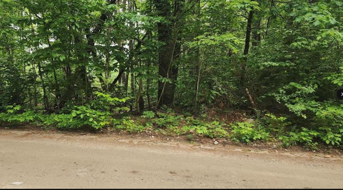 0 Pine Ridge Rd, Middleton, NH 03887