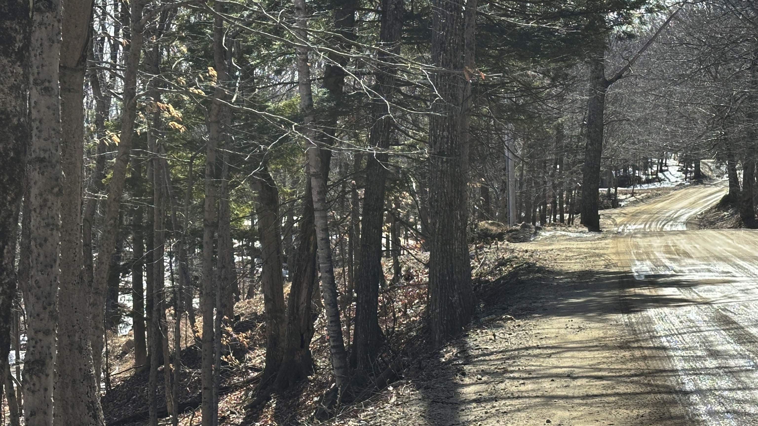 Valley Rd, Washington, NH 03280