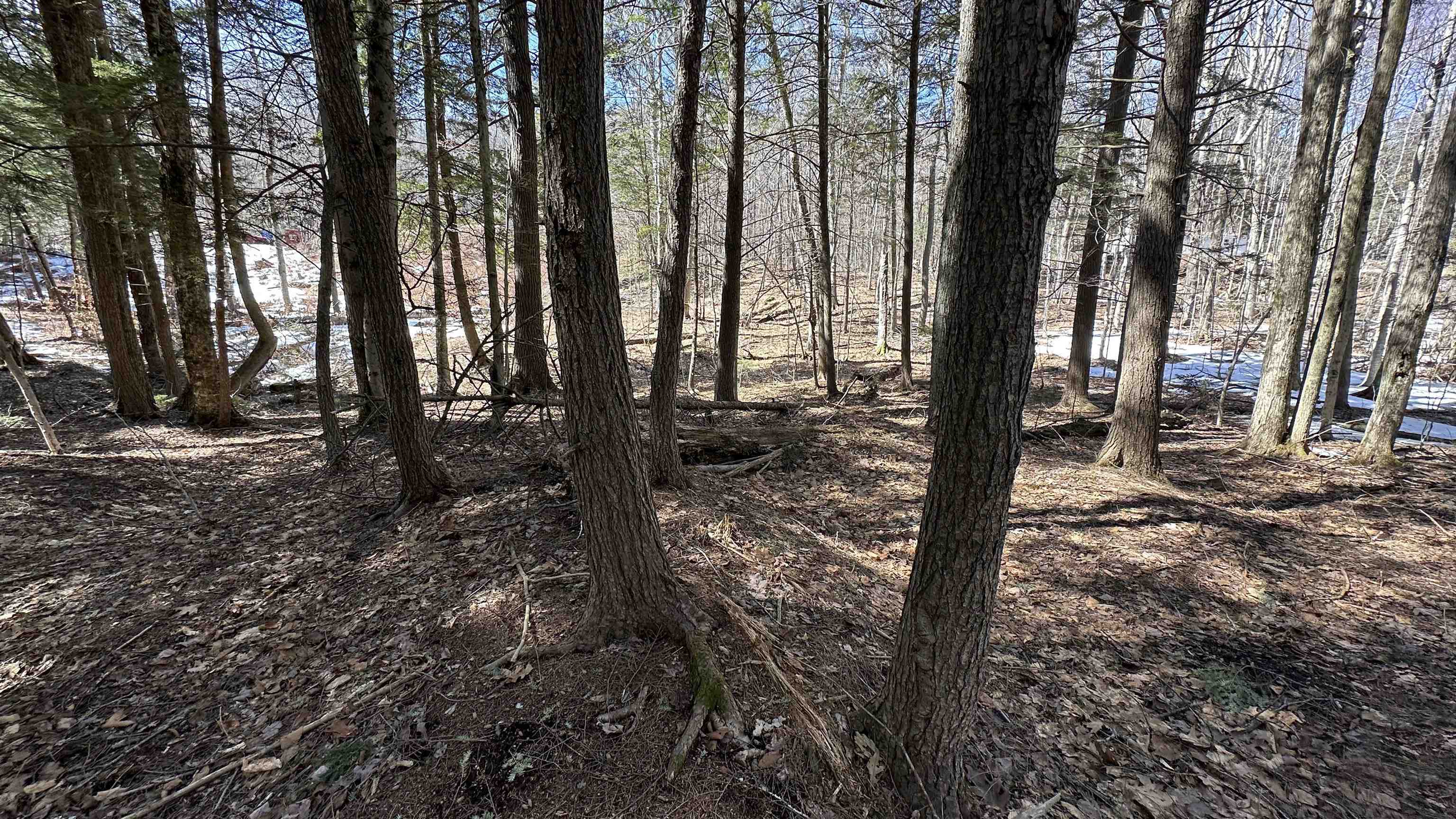 Valley Rd, Washington, NH 03280