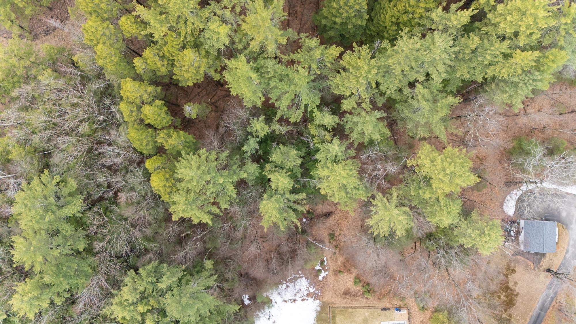 Lot 053 Holt Rd, Wilton, NH 03086