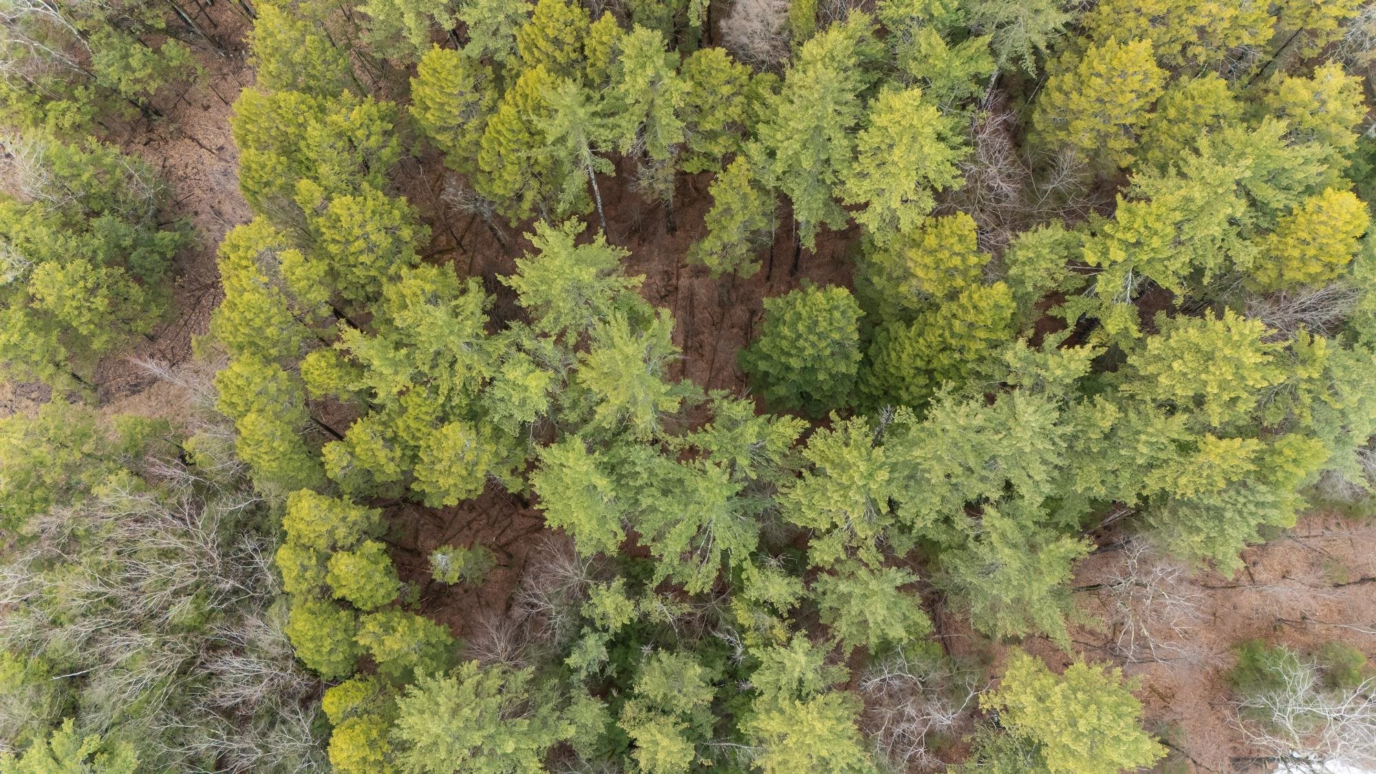 Lot 053 Holt Rd, Wilton, NH 03086