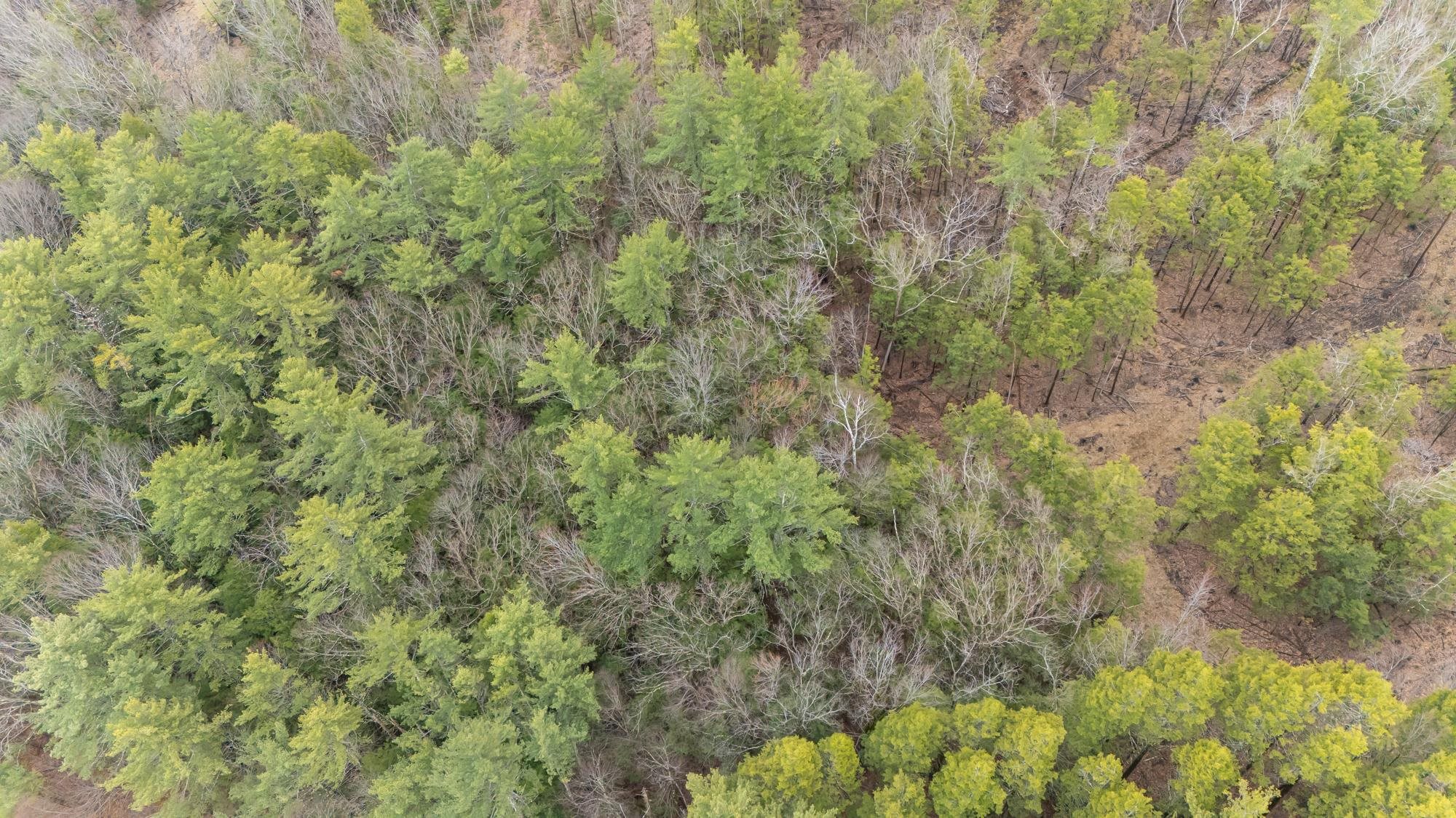 Lot 053 Holt Rd, Wilton, NH 03086