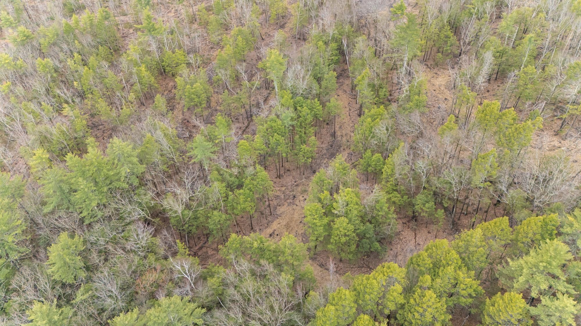 Lot 053 Holt Rd, Wilton, NH 03086