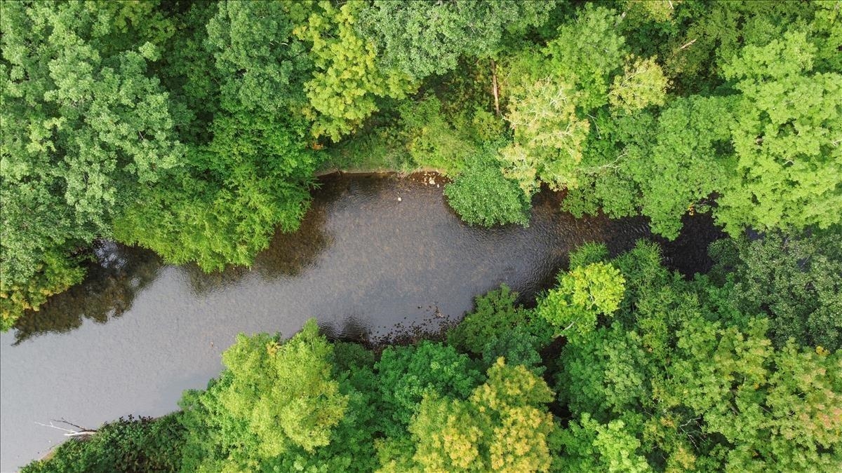 Battenkill River Shared Access
