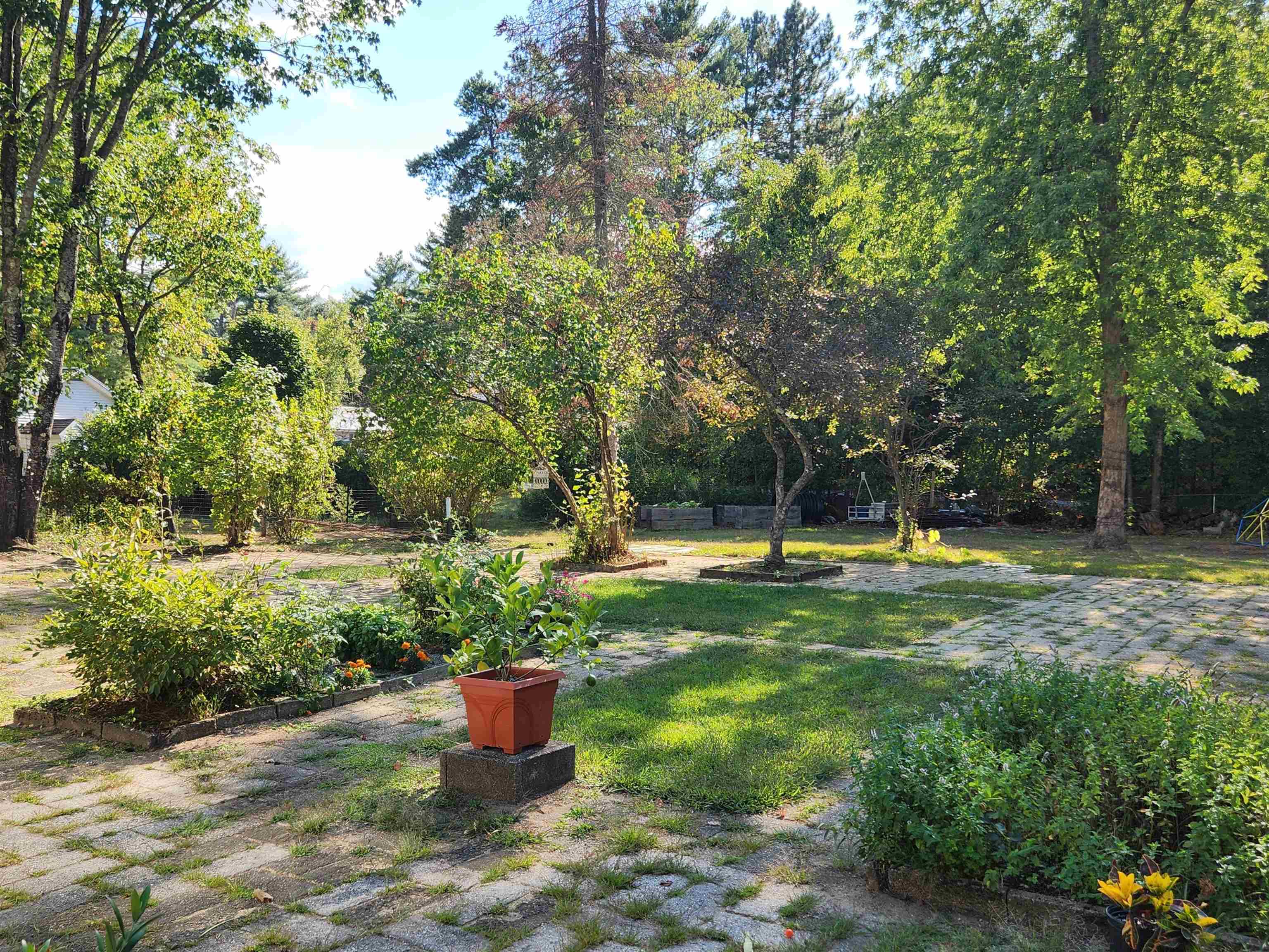 41 Linden Rd, Conway, NH 03860