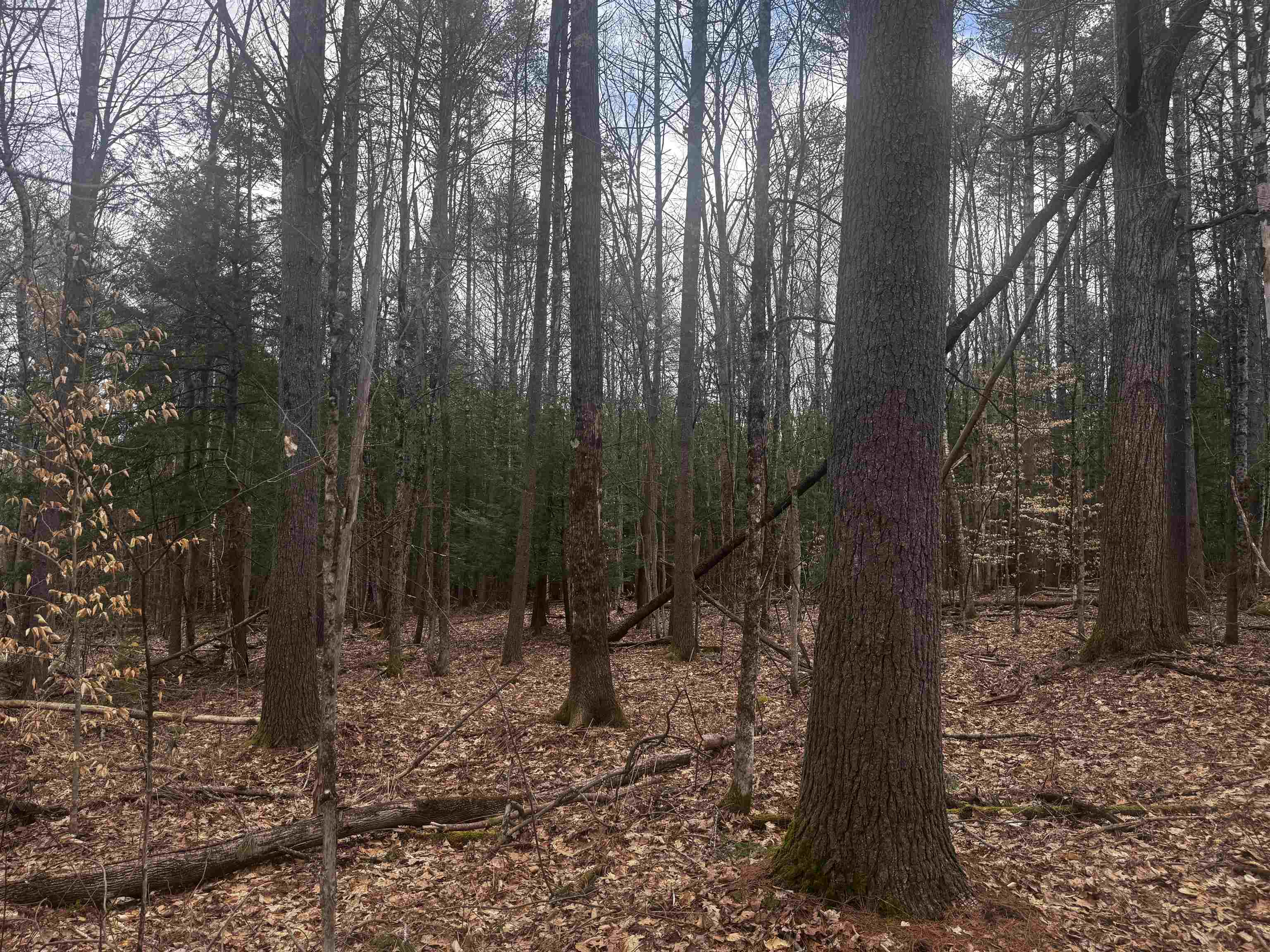 00 Chapman Rd, Keene, NH 03431