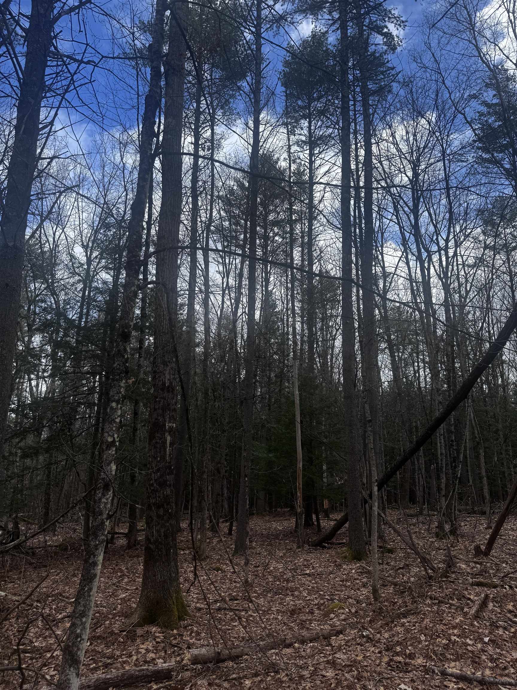 00 Chapman Rd, Keene, NH 03431