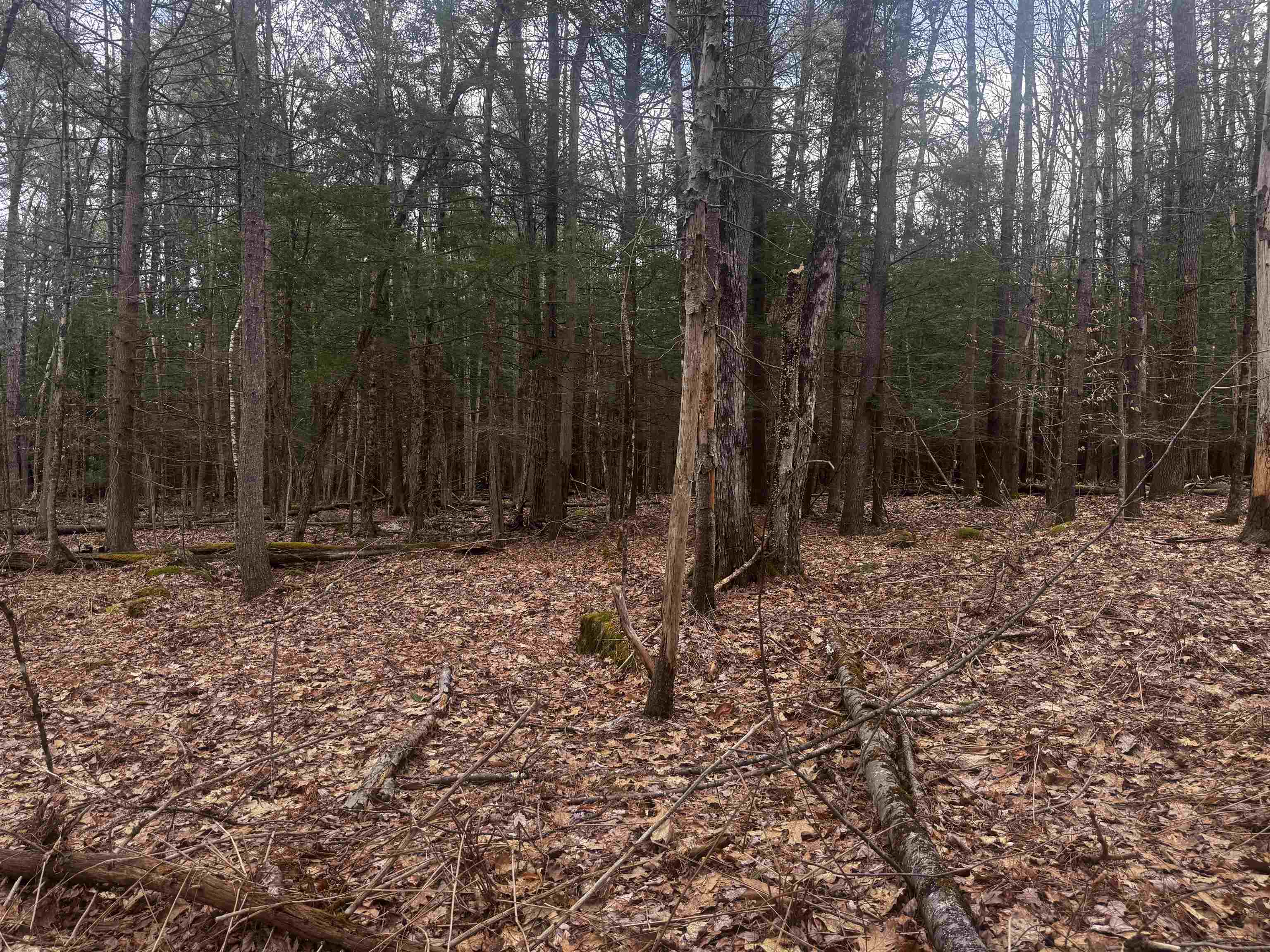 00 Chapman Rd, Keene, NH 03431