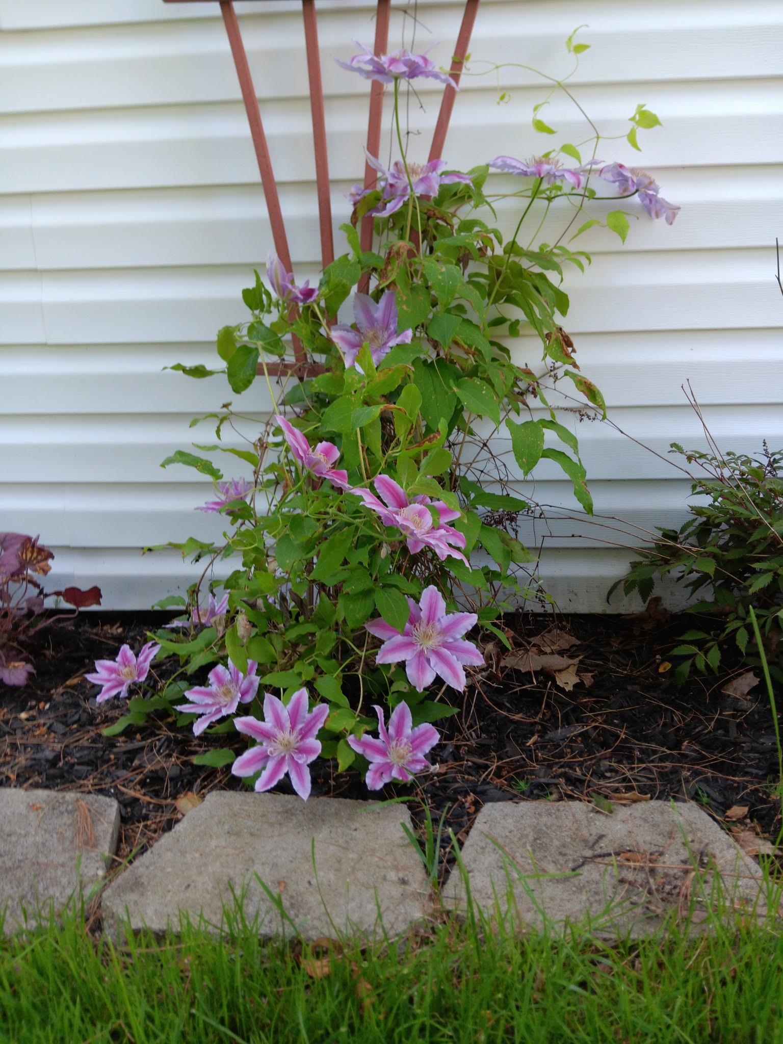 169 Eagle Dr, Rochester, NH 03868