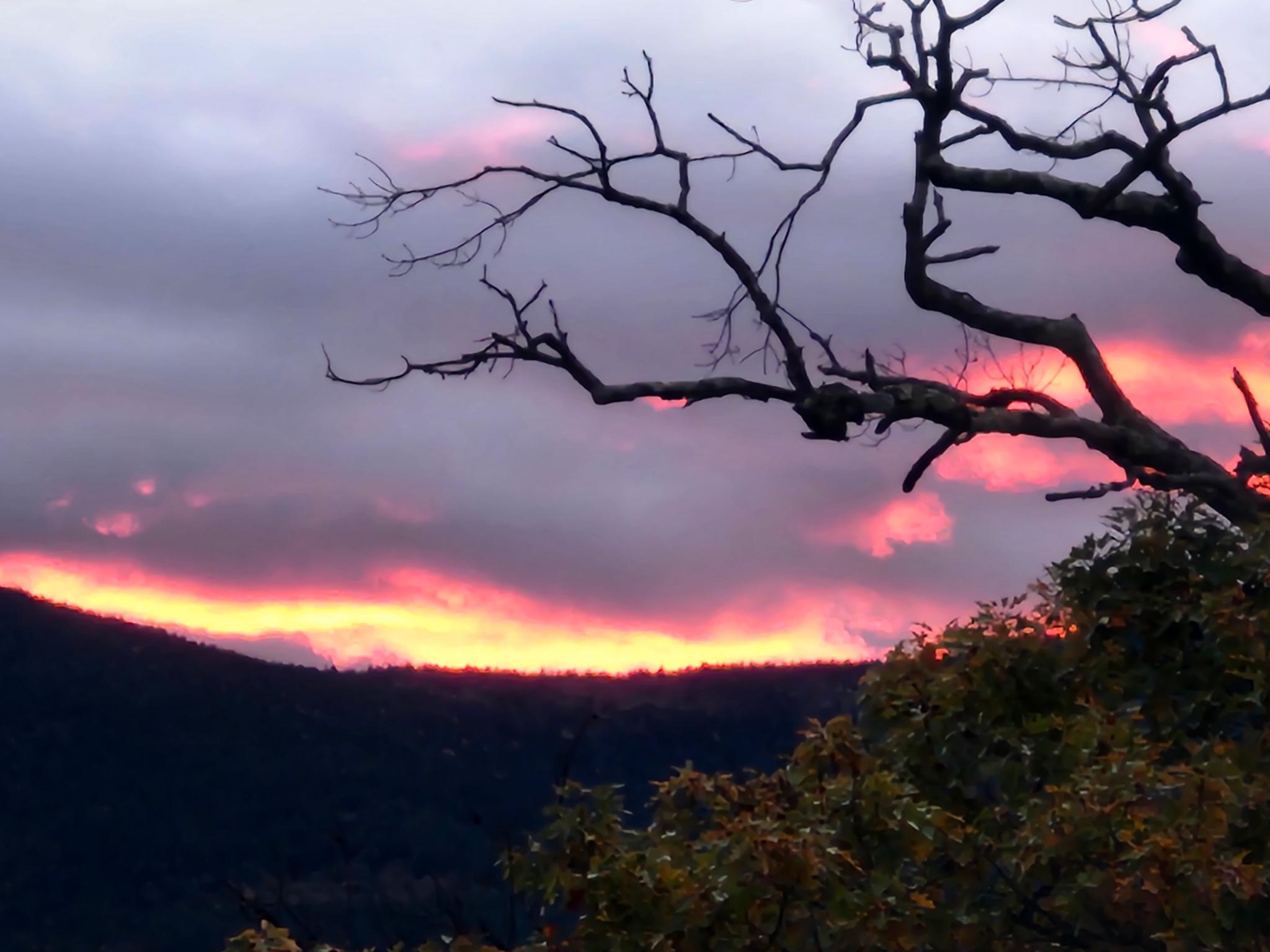 8 Champney Rd, Conway, NH 03860