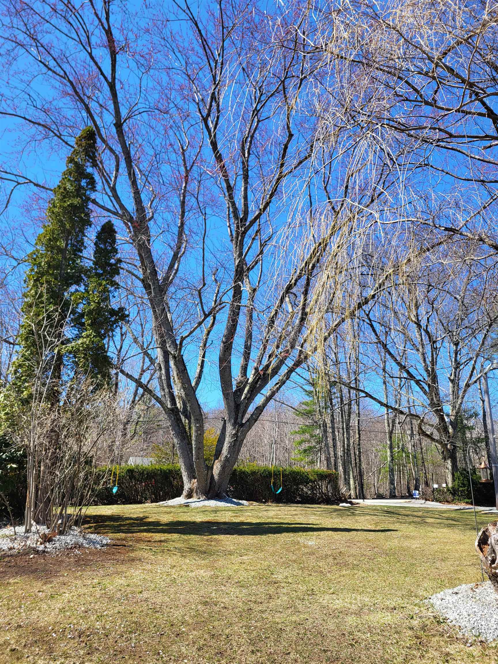 55 Lane Rd, Chichester, NH 03258