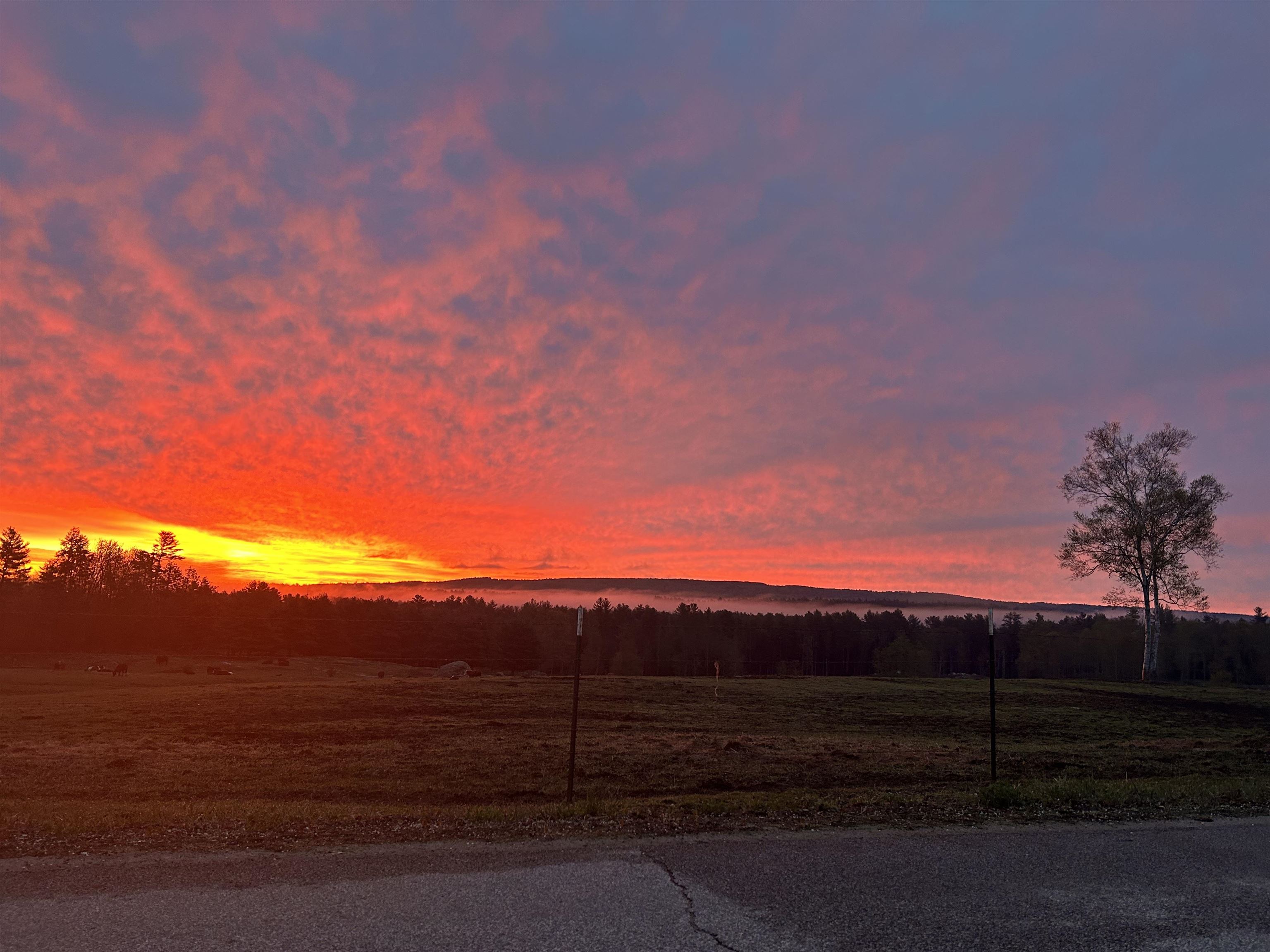 352 South Sugar Hill Rd, Weare, NH 03281