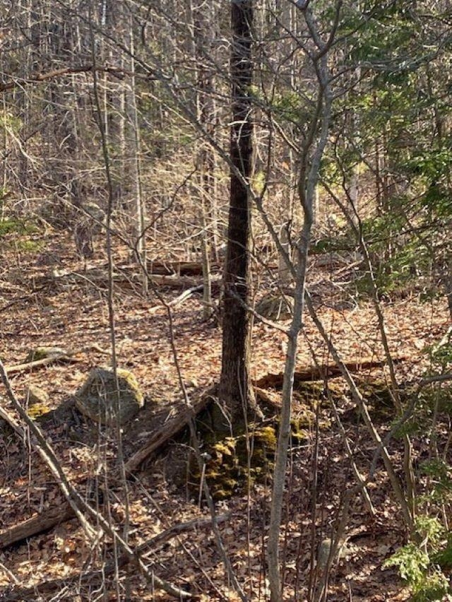 0 Orchard View Dr, Amherst, NH 03031