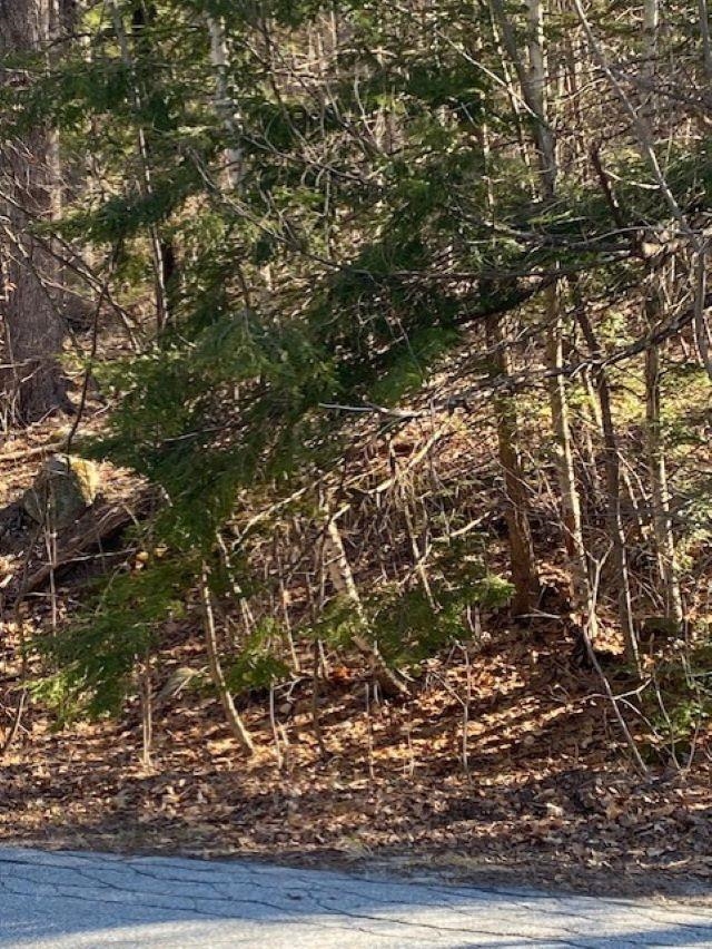 0 Orchard View Dr, Amherst, NH 03031