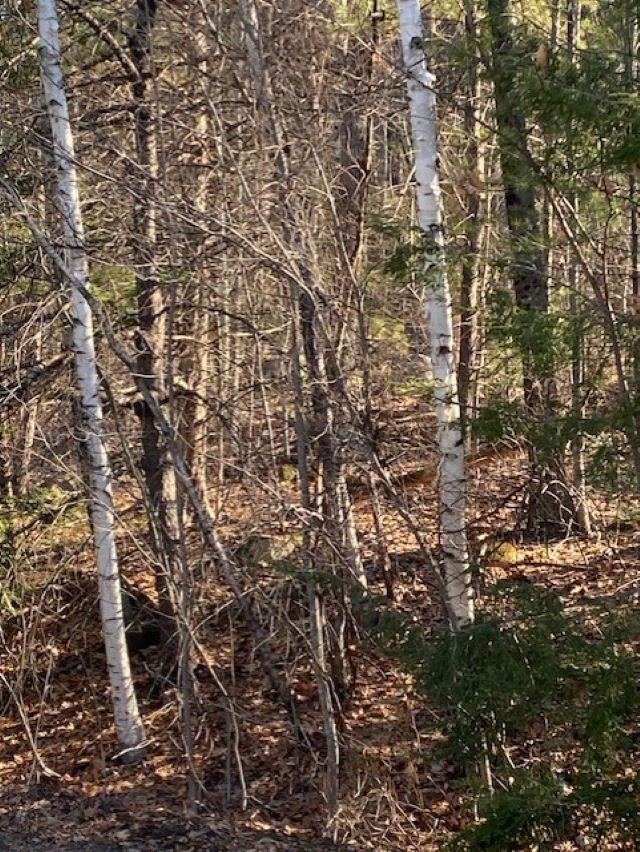 0 Orchard View Dr, Amherst, NH 03031