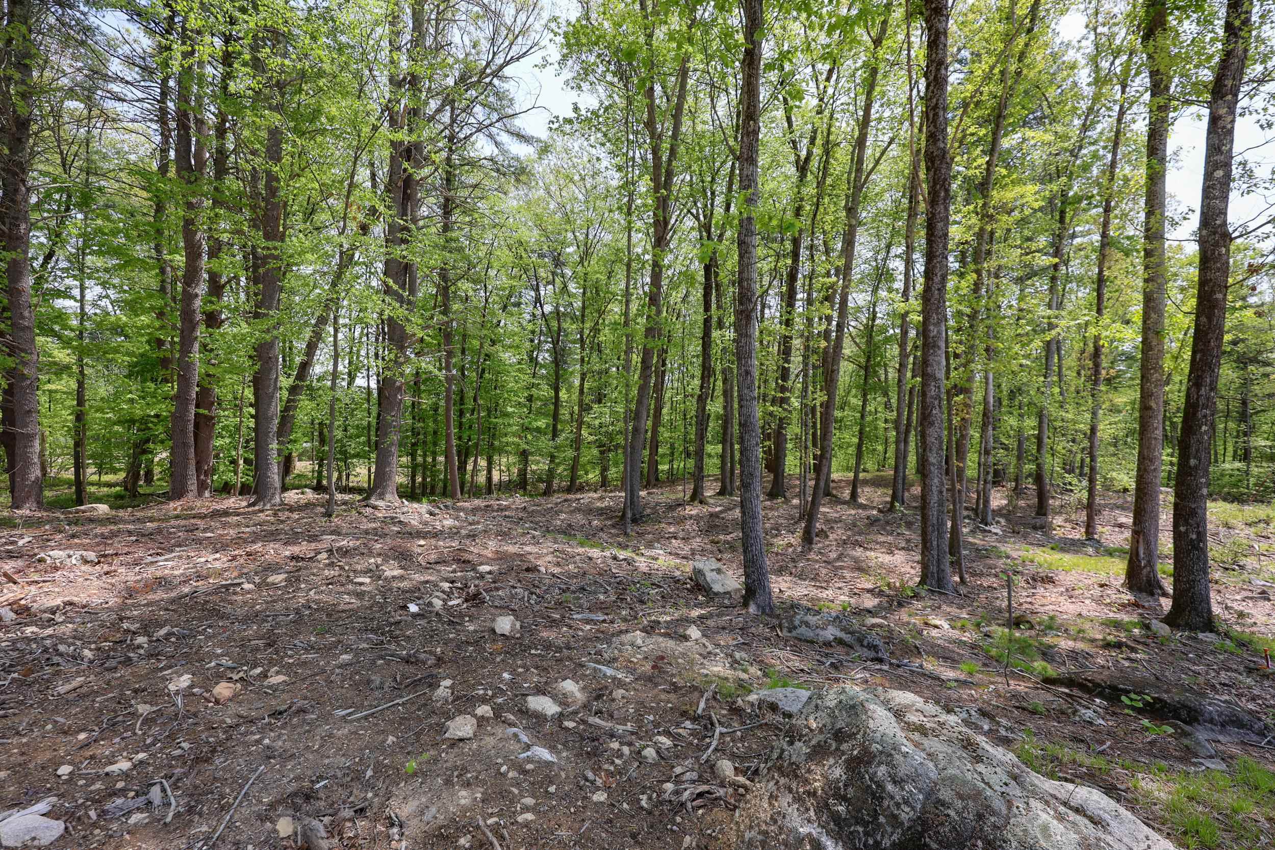 44-9 Olympus Way, Bedford, NH 03110