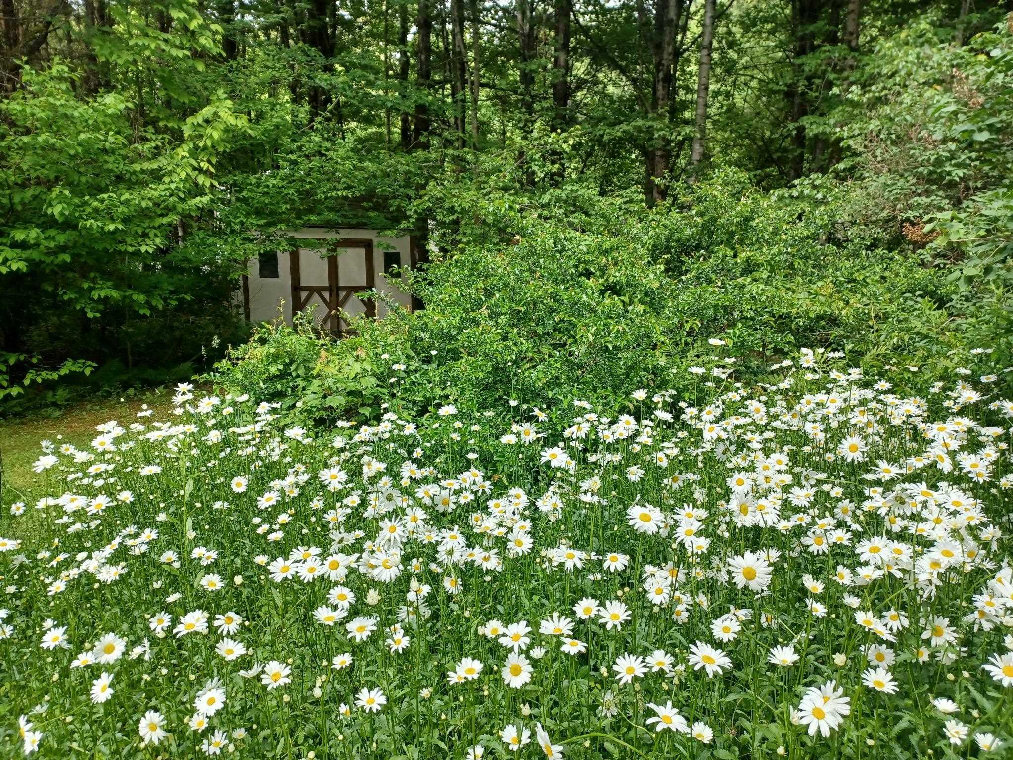 52 Mason Rd, Brookline, NH 03033