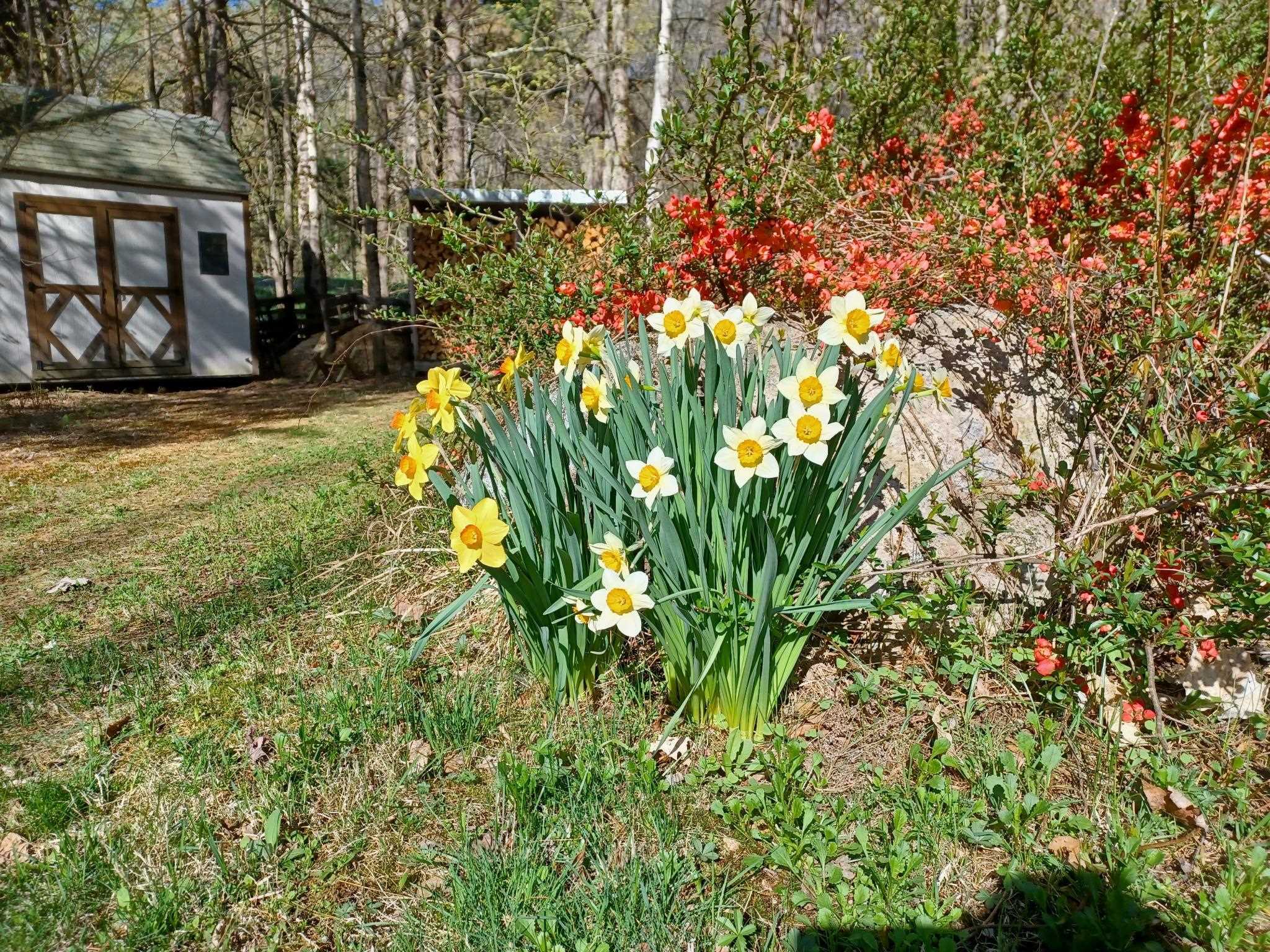 52 Mason Rd, Brookline, NH 03033