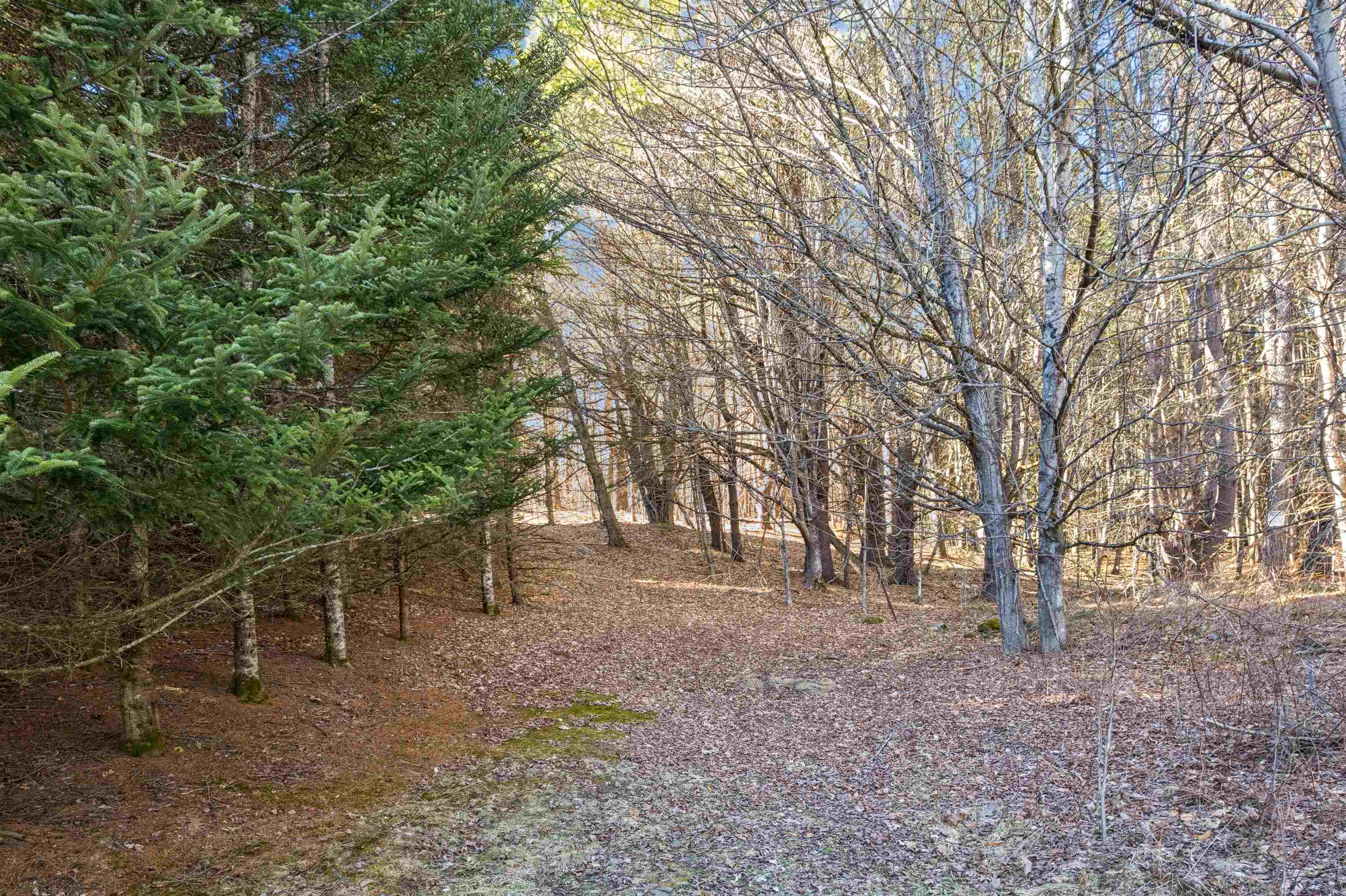 Photo 3 of Land for sale at 0 Labbie Ln, White River Junction, VT 05001 | MLS# 5082953 | Listing updated on 2026-09-16