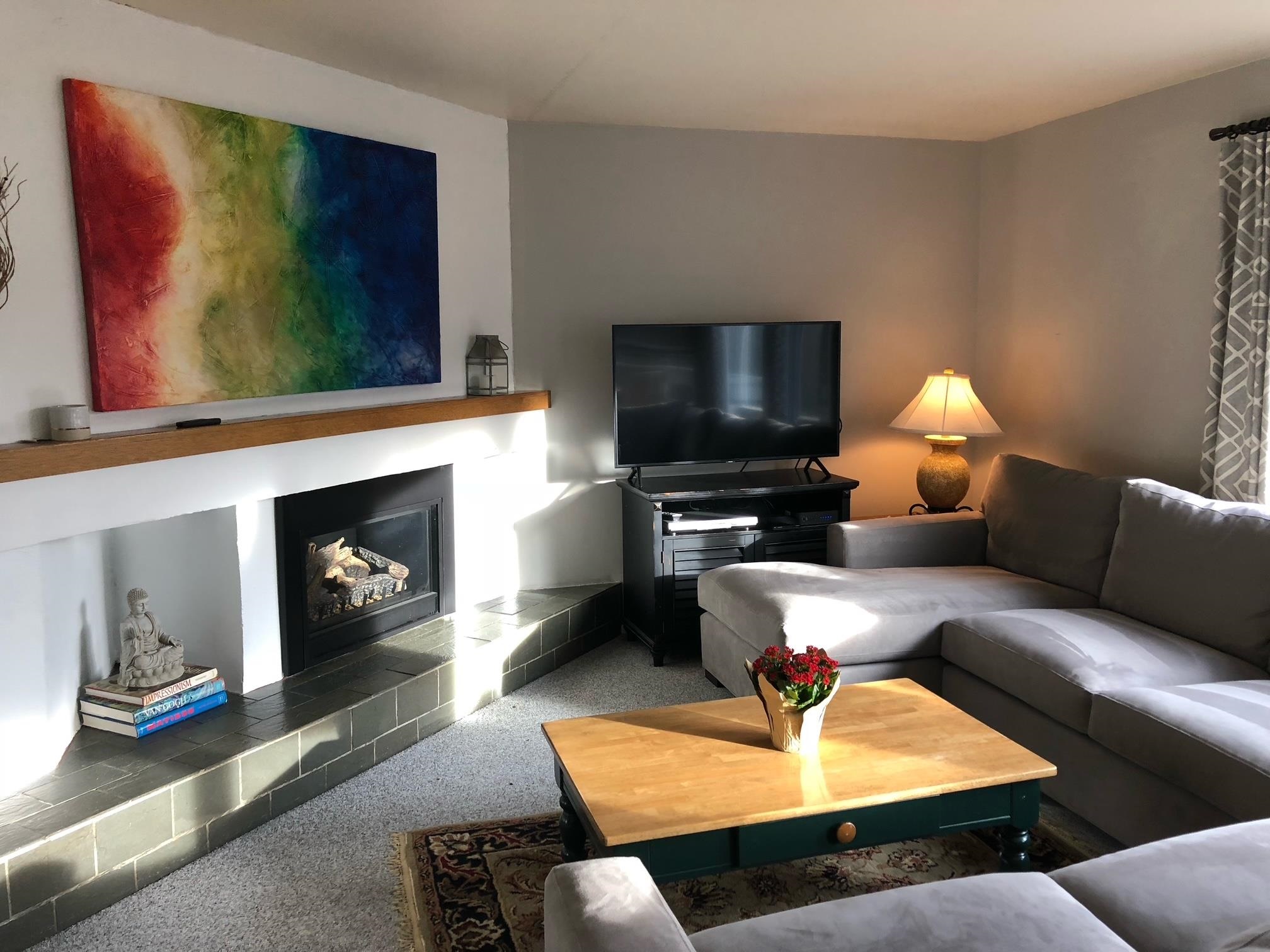 living room 24996131