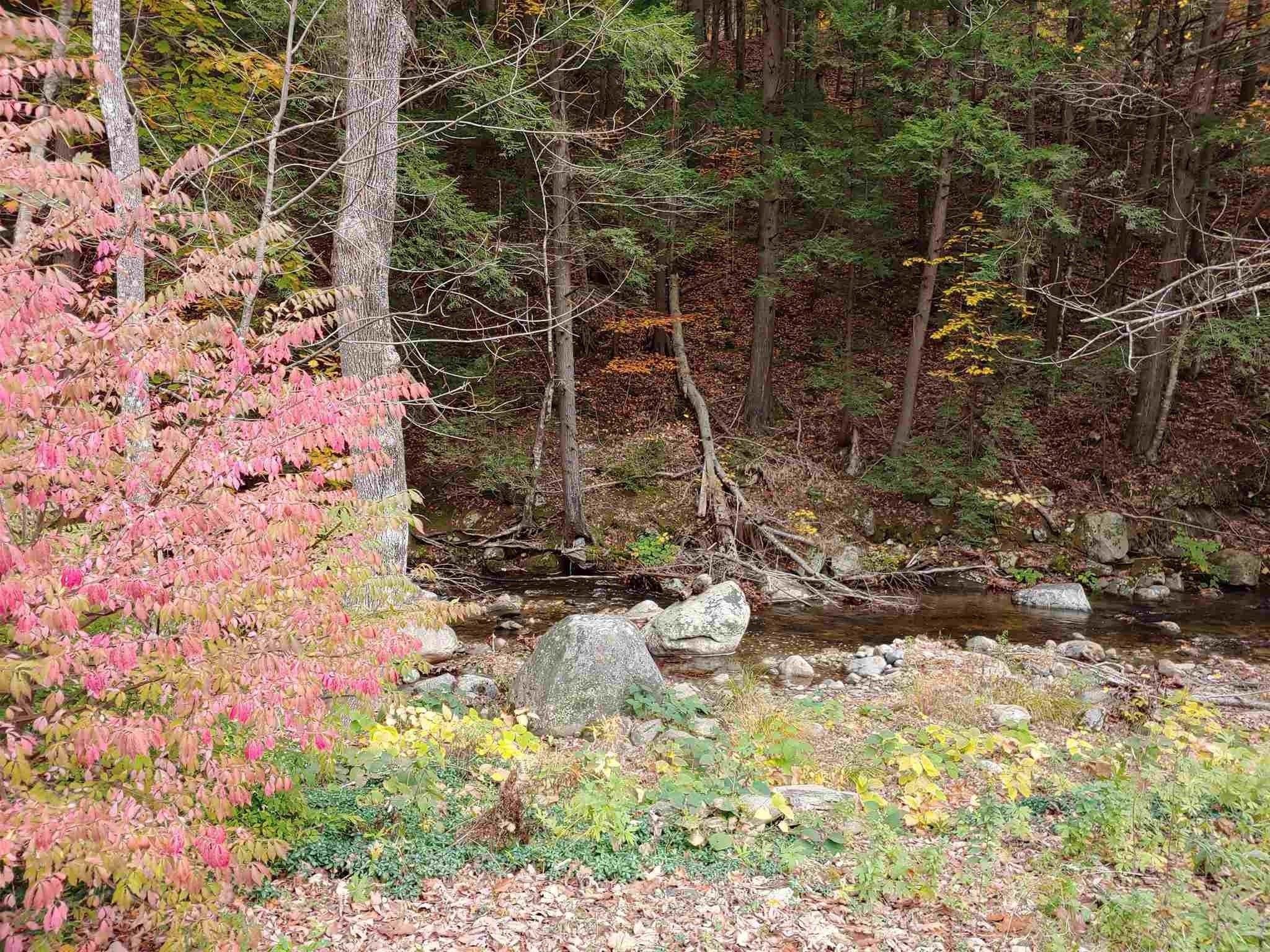 Ourside flood zone beauty