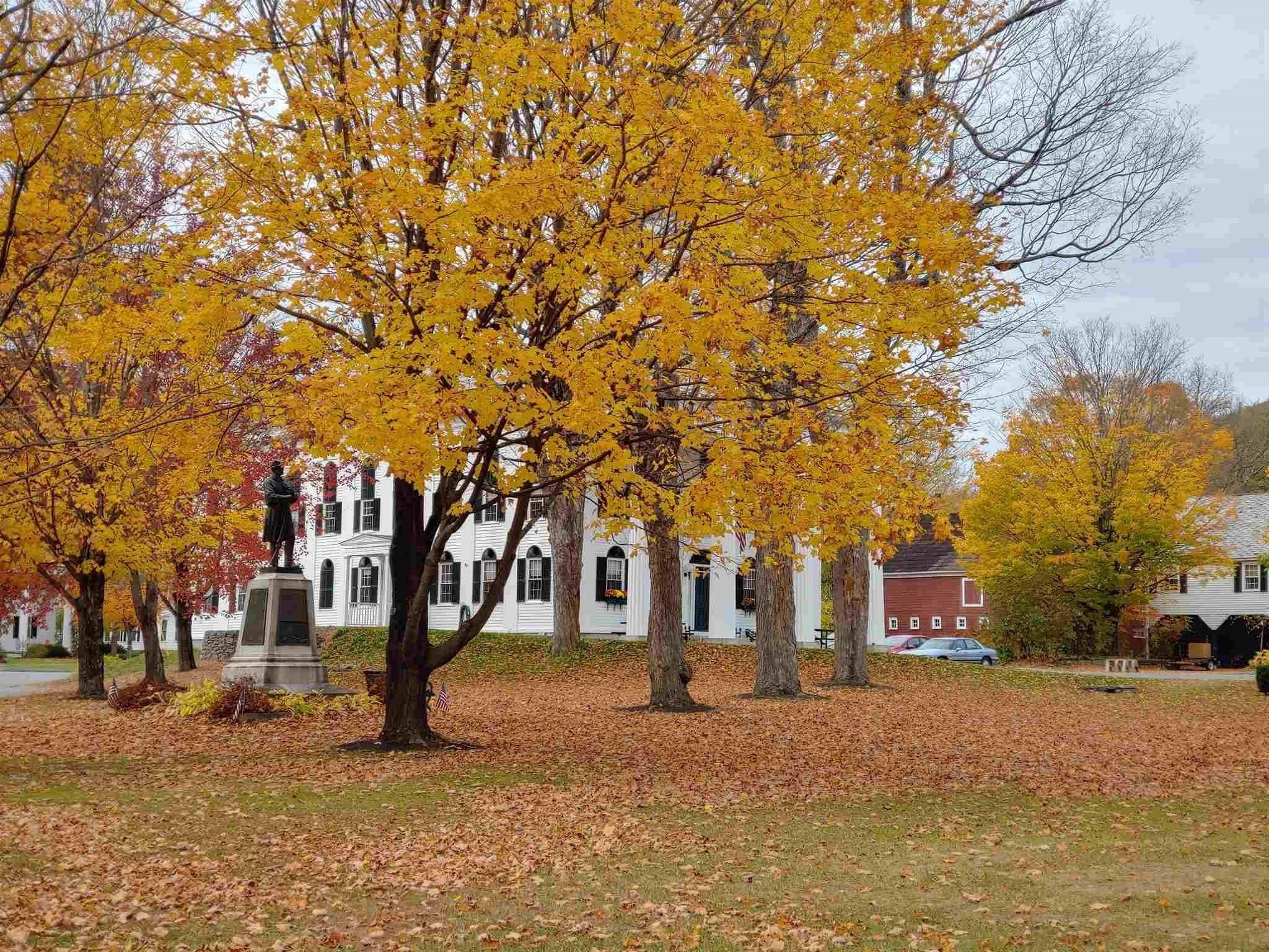 Common in the center of Newfane.