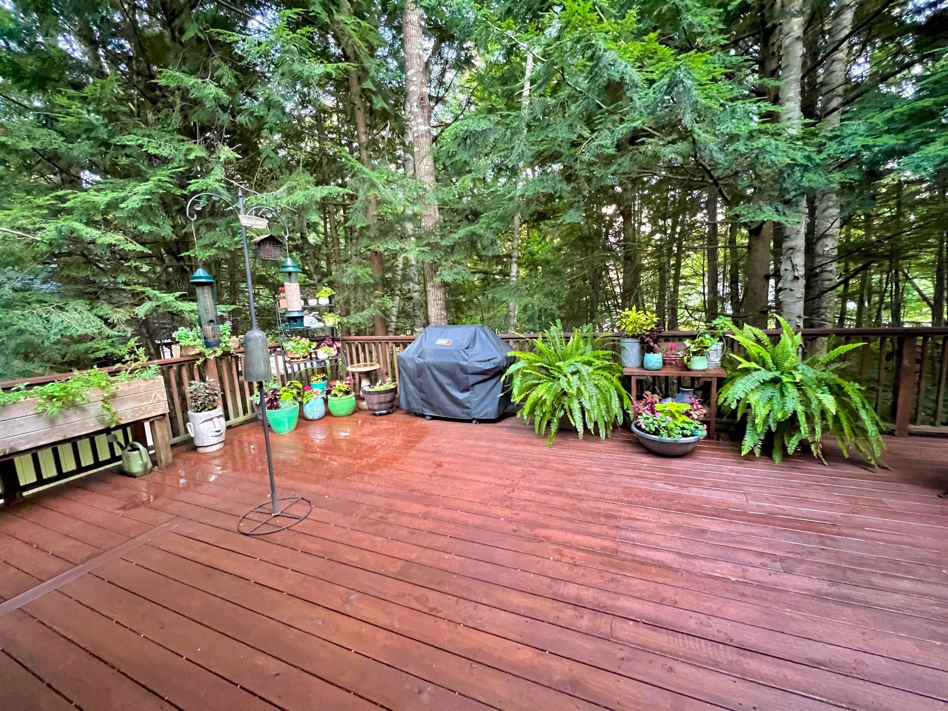 66 St Gallen St, Moultonborough, NH 03254