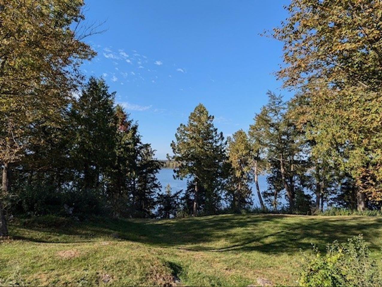Summer view toward lake