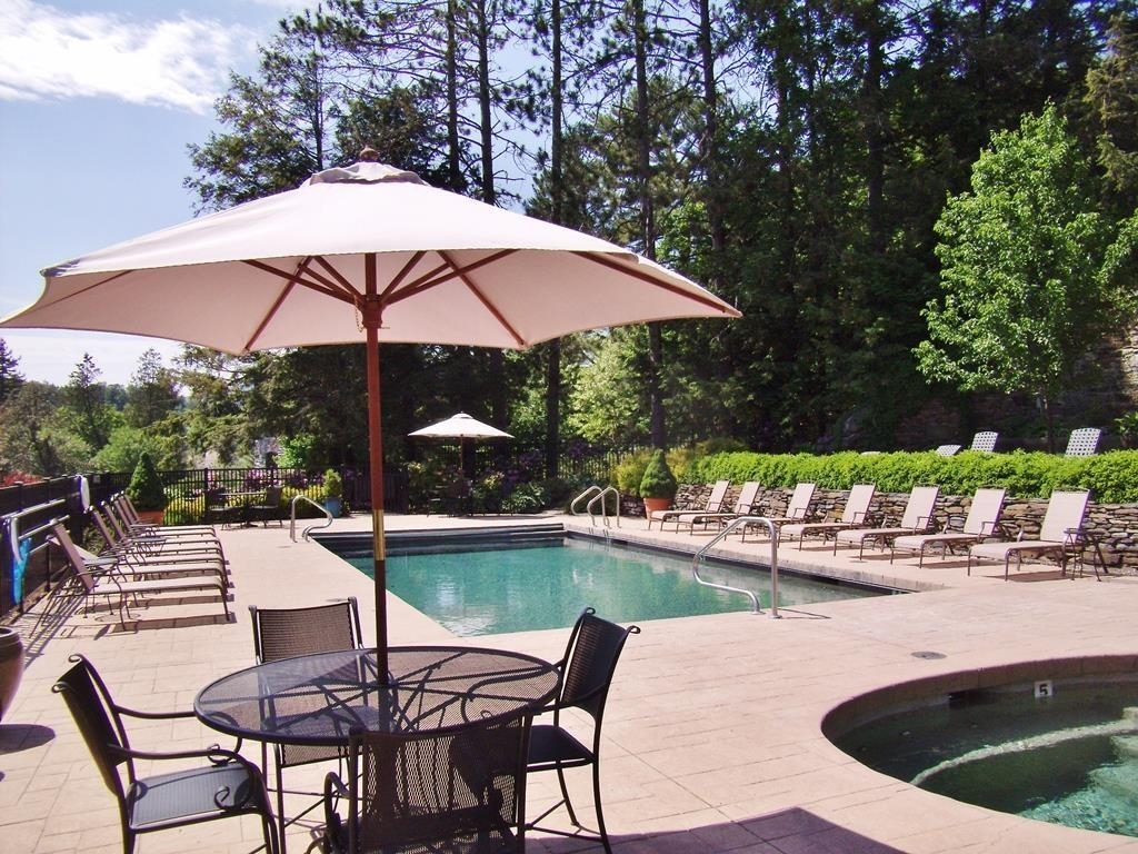 Outdoor Pool With Hot Tub 24963627