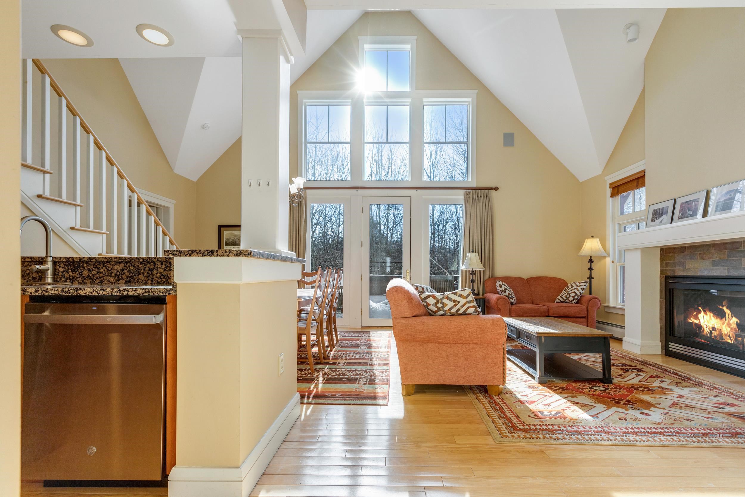 An Abundance Of Natural Light 24963600